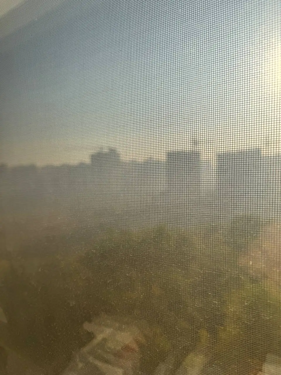 photo 2024 10 03 08 41 20 photo 2024 10 03 08 41 20