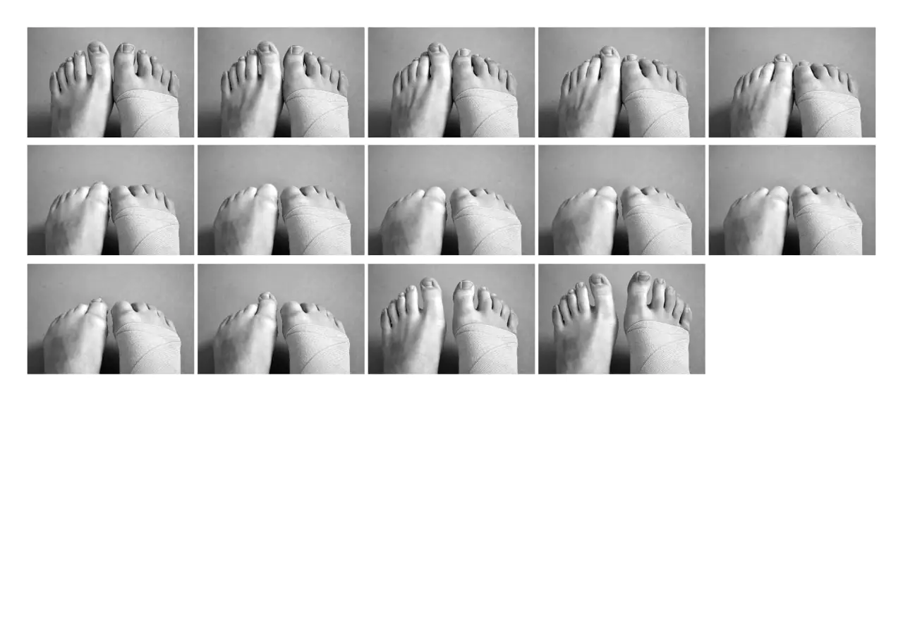 photo 2024 10 17 15 17 02 photo 2024 10 17 15 17 02