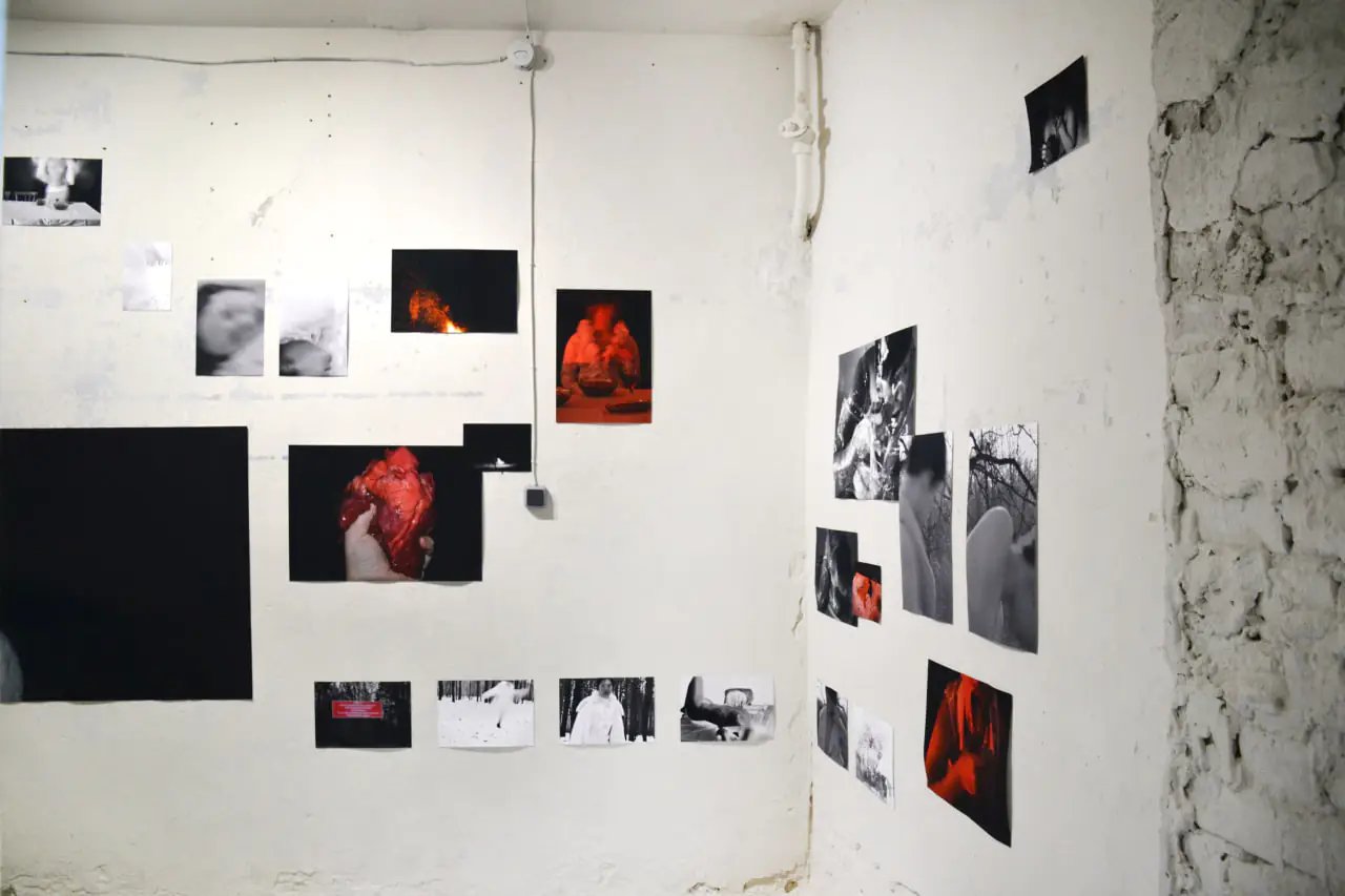 photo 2024 10 17 15 17 03 (4) photo 2024 10 17 15 17 03 (4)