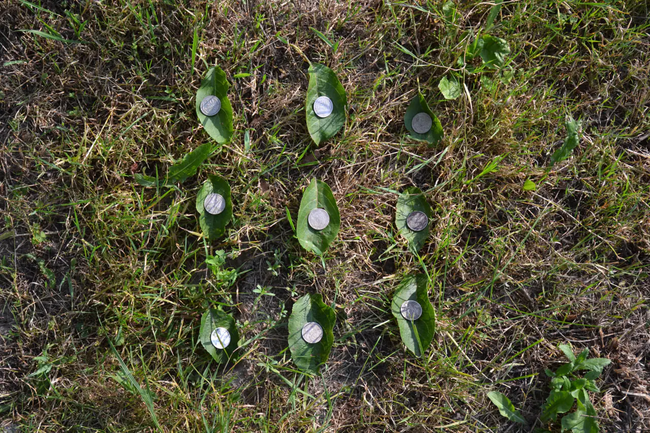 photo 2024 10 17 15 17 04 (4) photo 2024 10 17 15 17 04 (4)