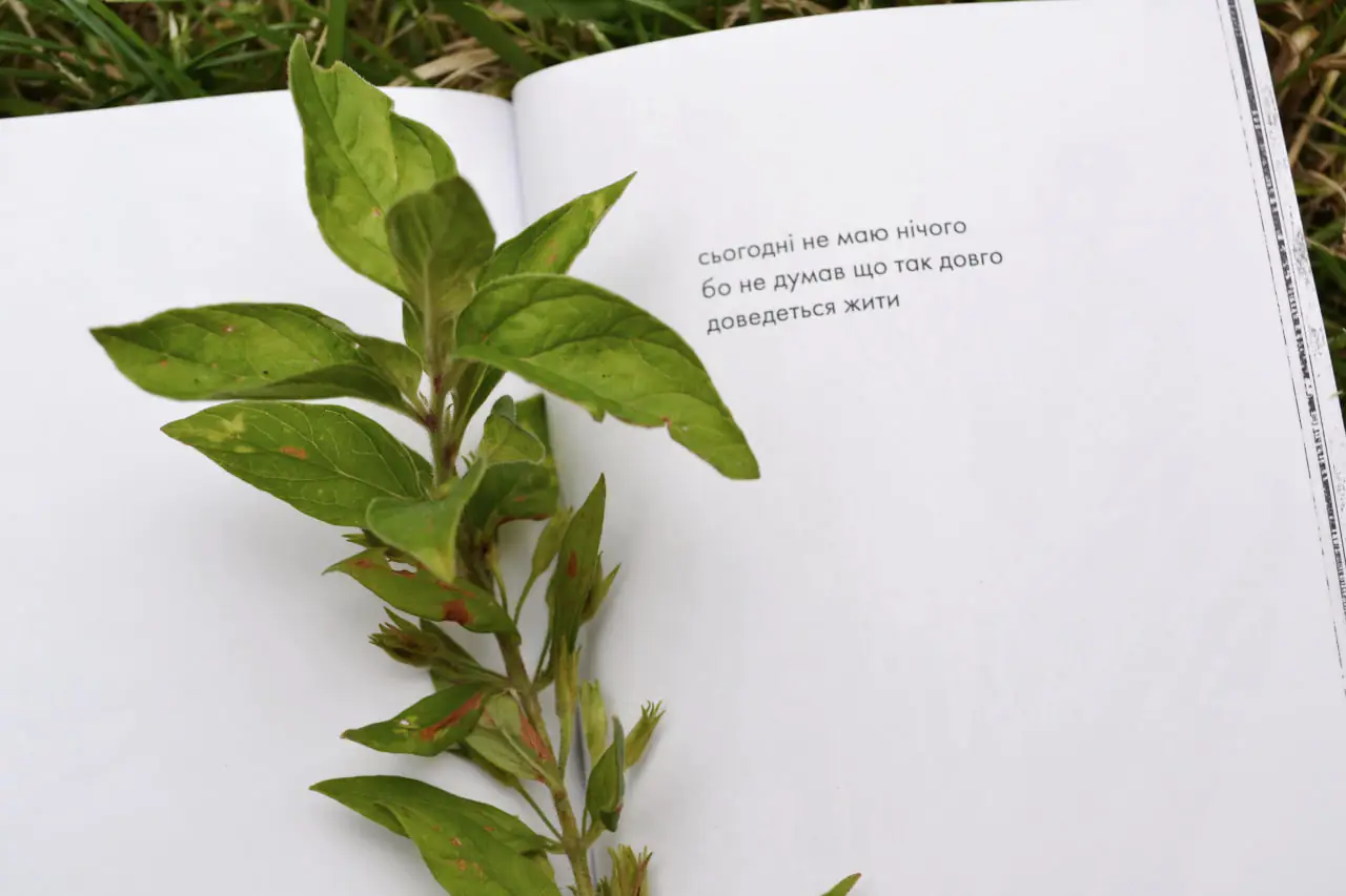 photo 2024 10 17 15 17 05 (2) photo 2024 10 17 15 17 05 (2)