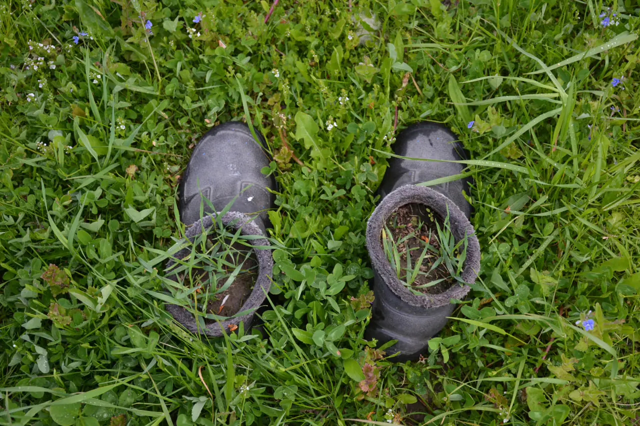 photo 2024 10 17 15 17 05 (4) photo 2024 10 17 15 17 05 (4)