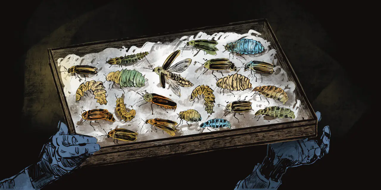 photo 2024 10 17 15 17 06 (4) photo 2024 10 17 15 17 06 (4)