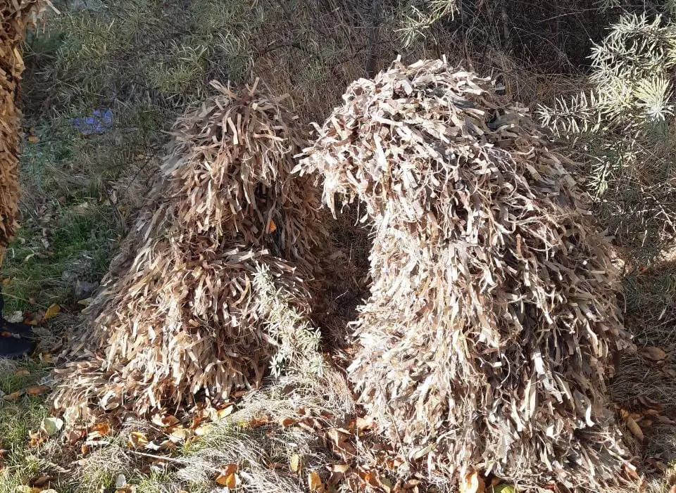 467525770 2514816795373802 8367326458730675738 n 1 467525770 2514816795373802 8367326458730675738 n 1