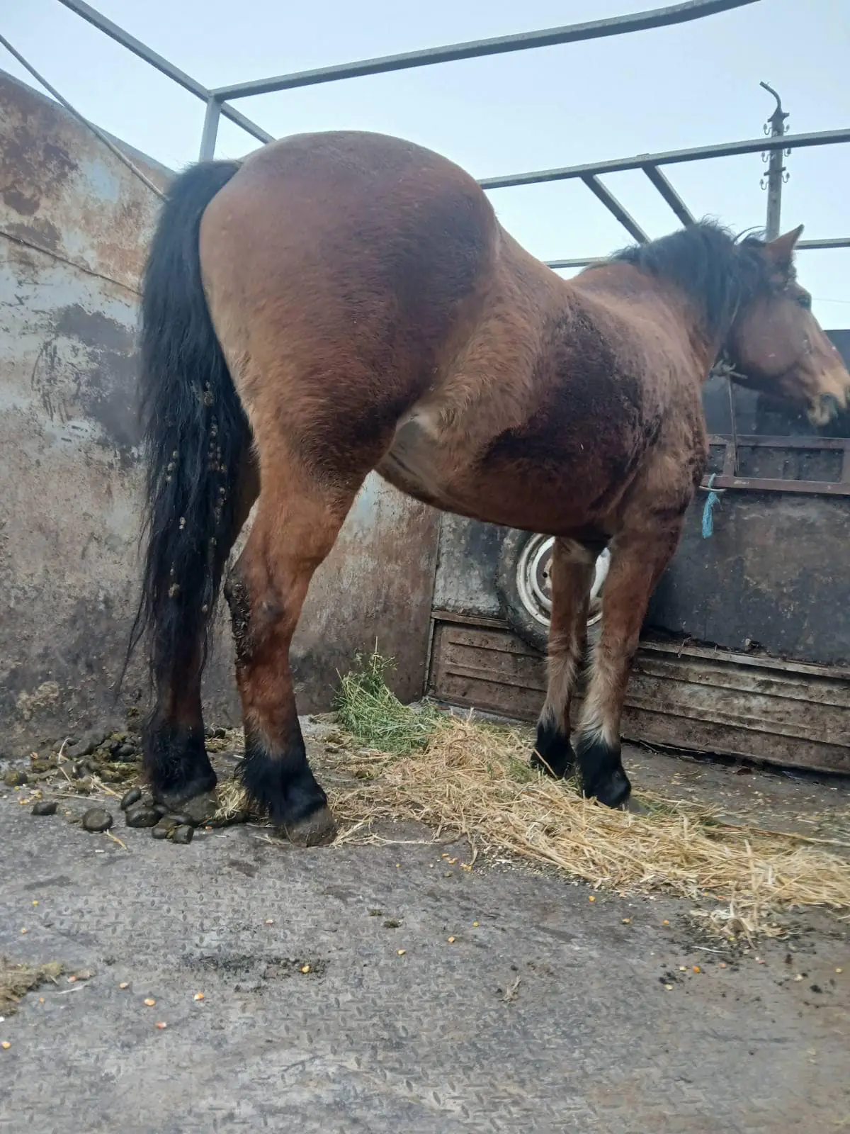 468946284 914205284157319 2087440787356885492 n 468946284 914205284157319 2087440787356885492 n