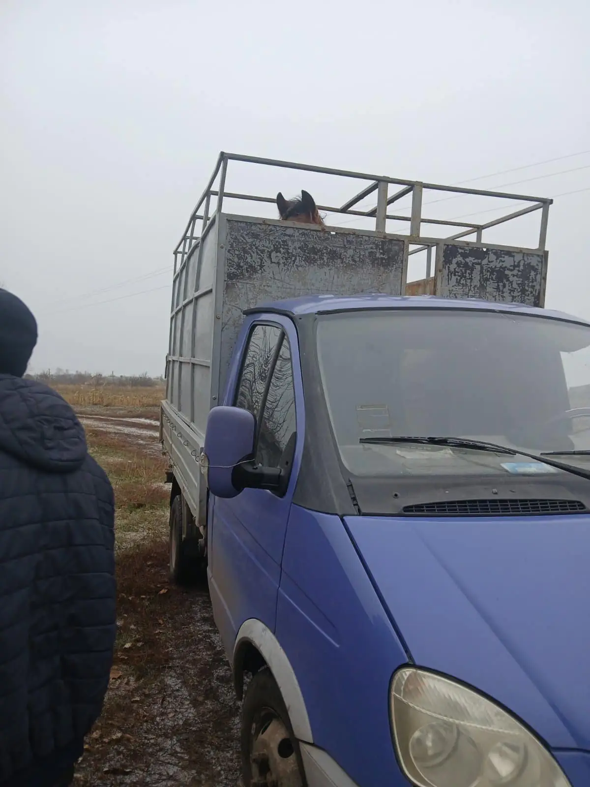 469395084 914205270823987 4946174590255388852 n 469395084 914205270823987 4946174590255388852 n