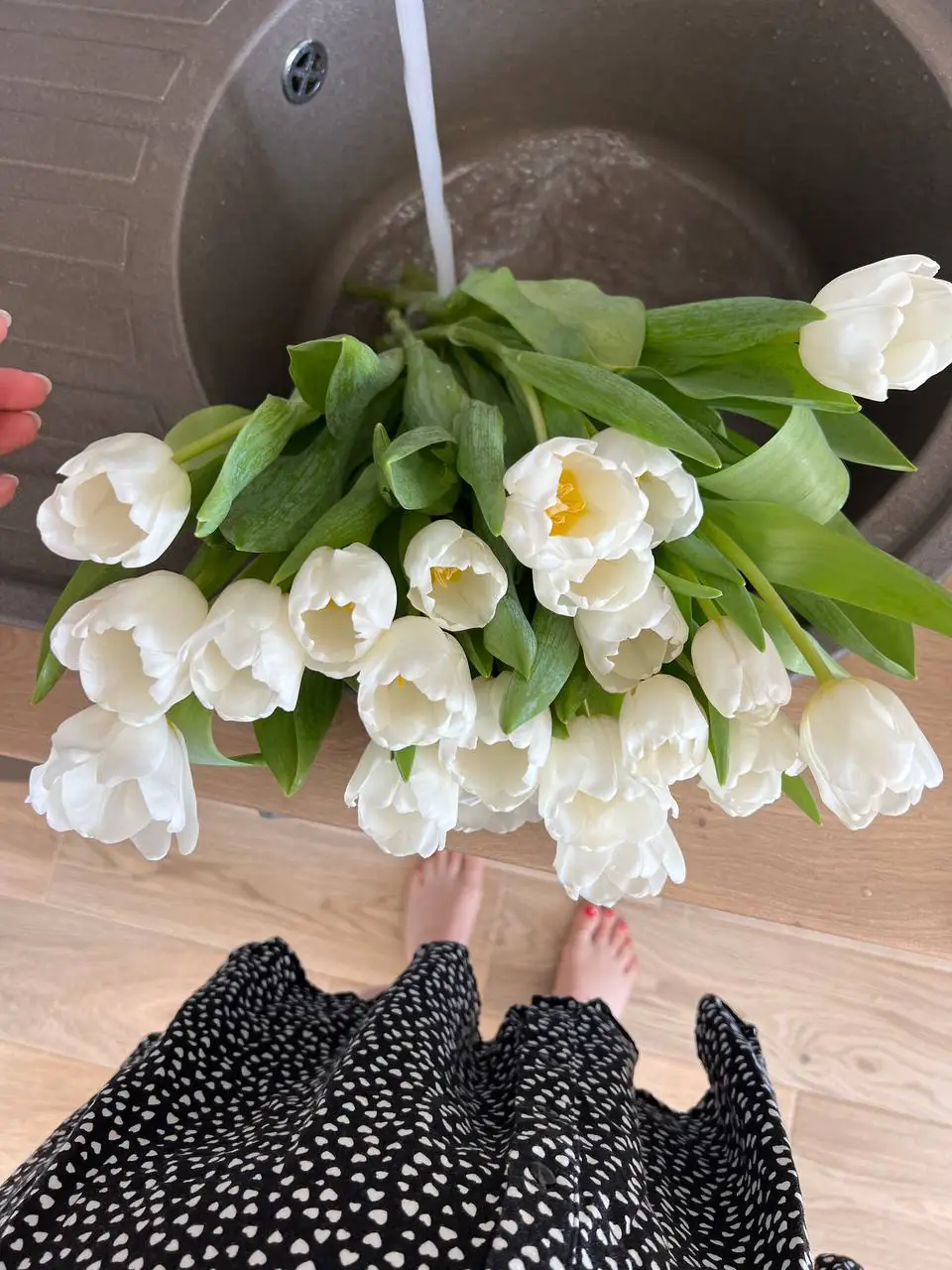 photo 2024 12 27 13 21 51 photo 2024 12 27 13 21 51