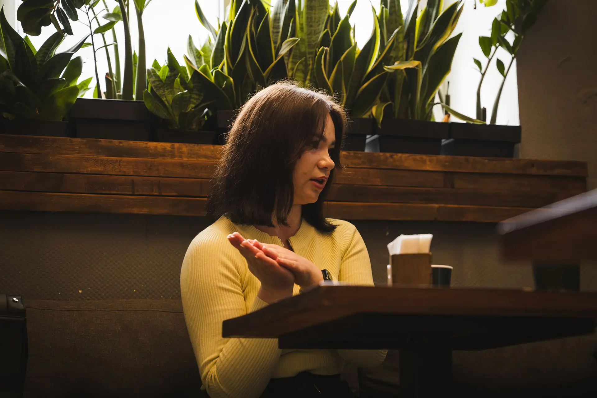 ESH 17 (4) ESH 17 (4)