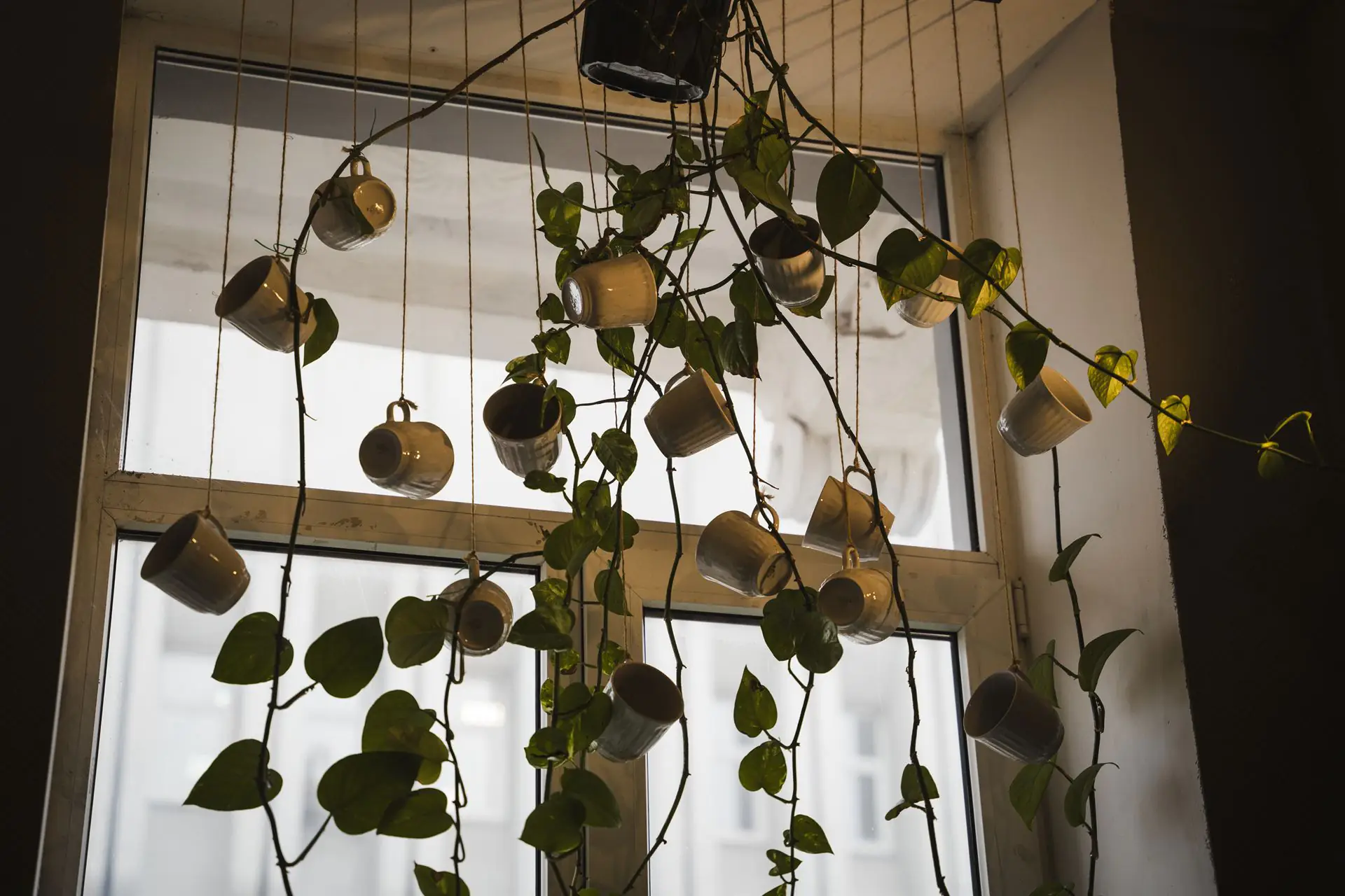 ESH 19 (3) ESH 19 (3)