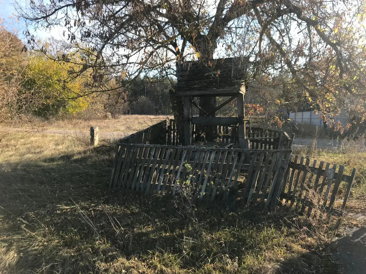 image8 1 1 image8 1 1