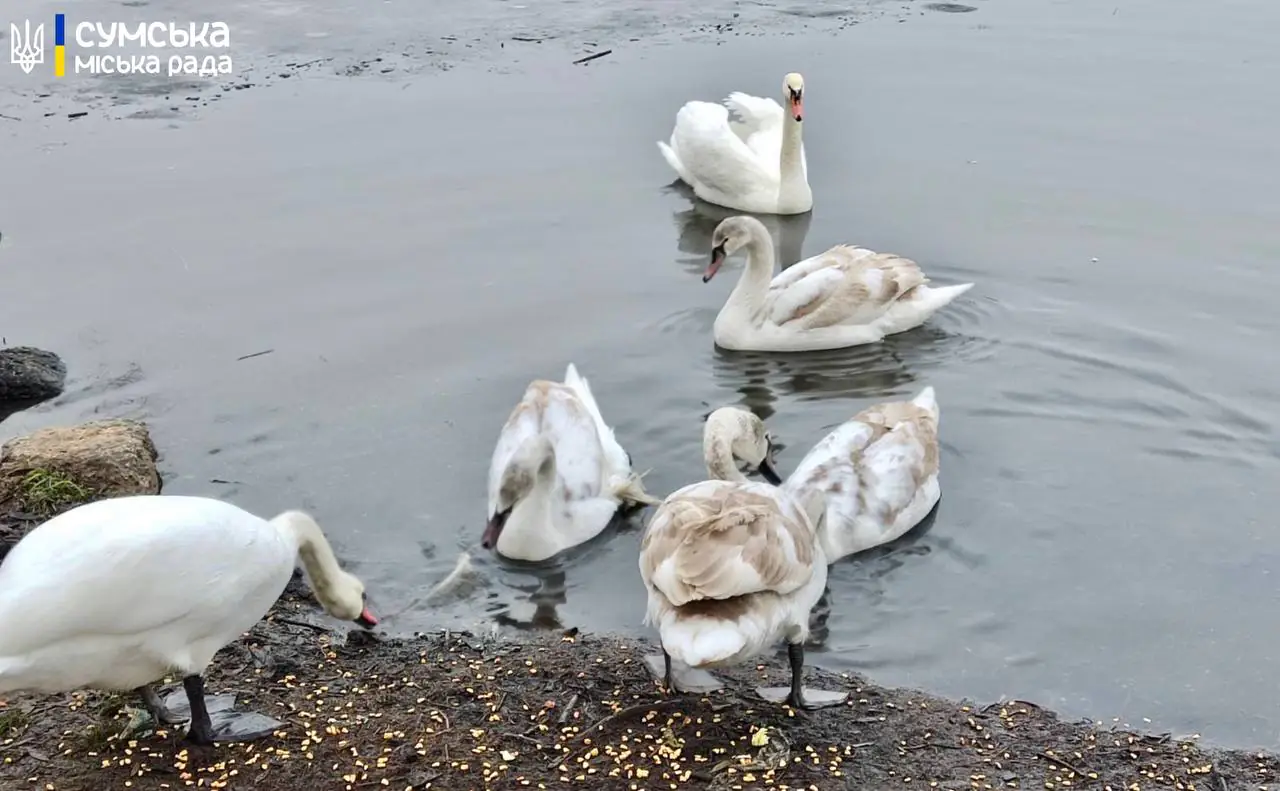 photo 2025 01 07 10 08 33 photo 2025 01 07 10 08 33