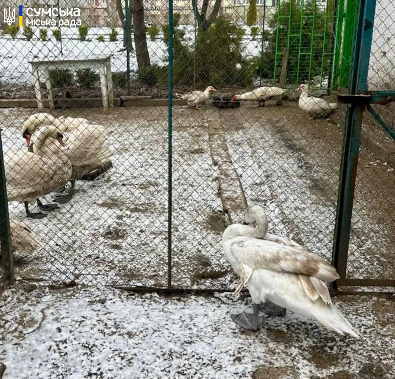 photo 2025 01 07 10 08 35 photo 2025 01 07 10 08 35