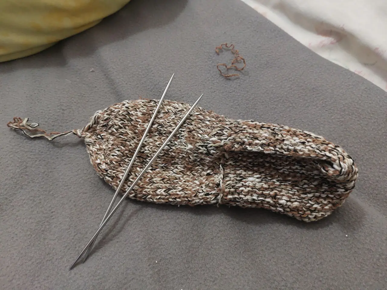 photo 2025 01 24 16 45 40 photo 2025 01 24 16 45 40