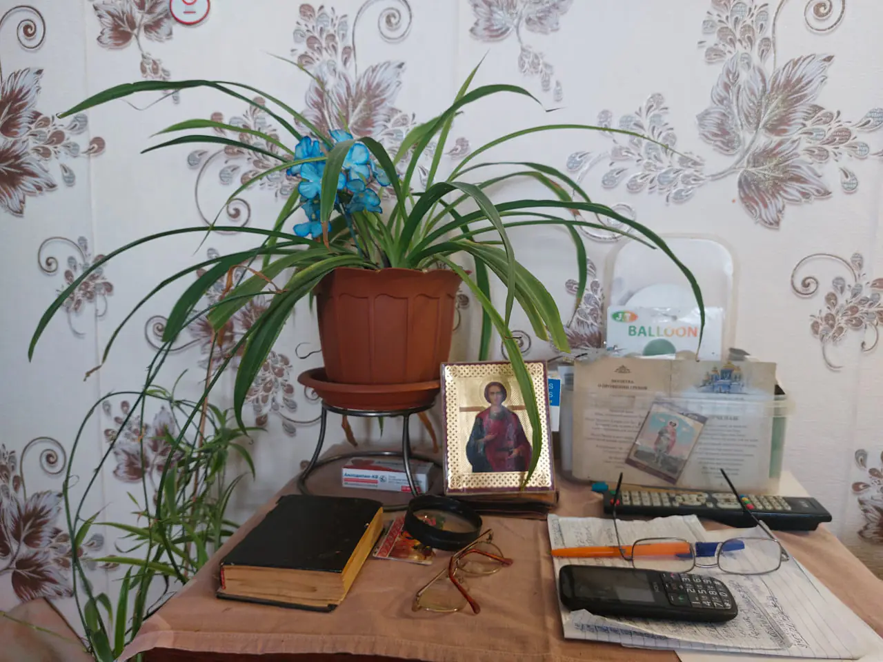 photo 2025 01 24 16 50 13 photo 2025 01 24 16 50 13