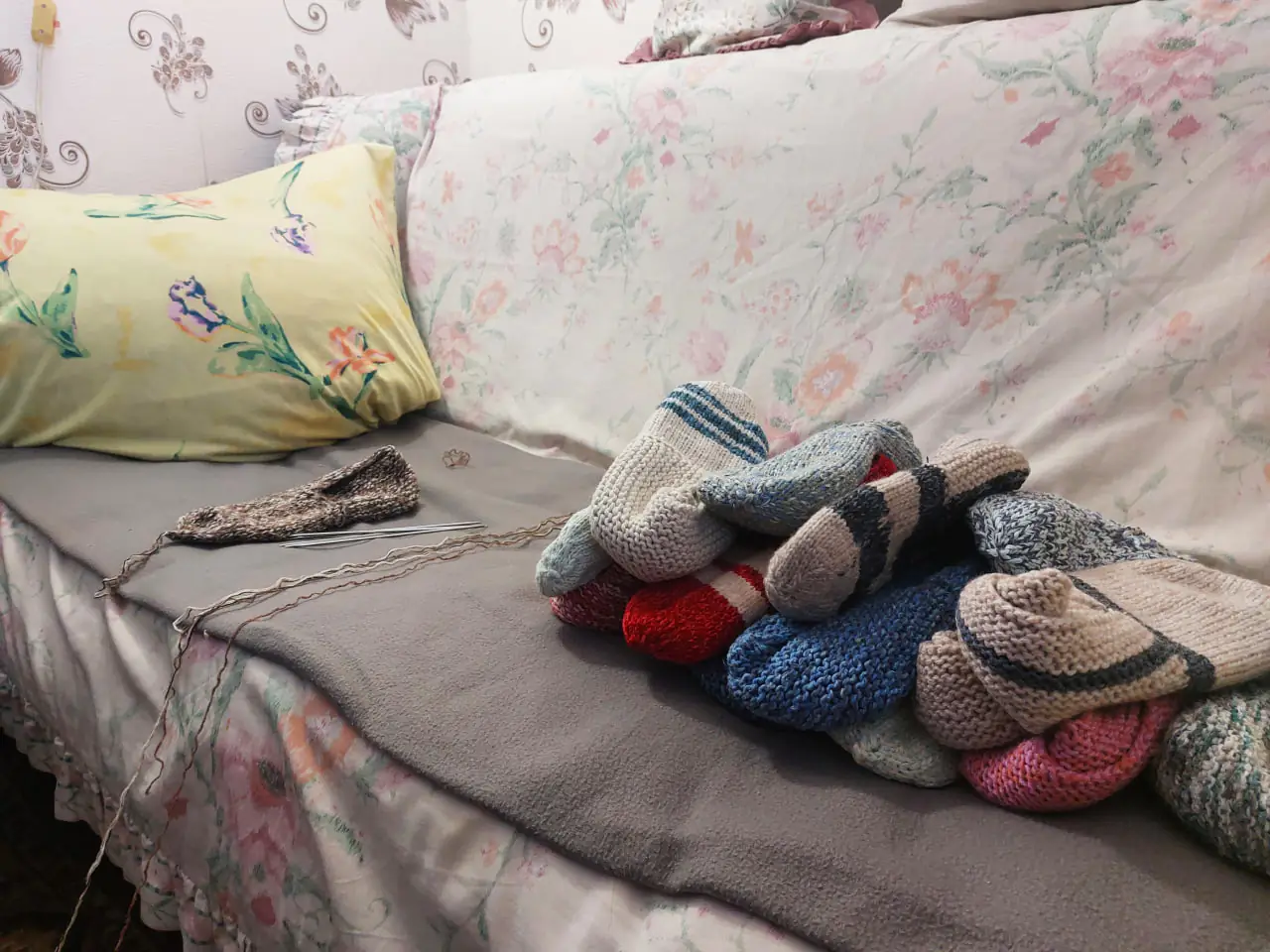 photo 2025 01 24 16 54 39 photo 2025 01 24 16 54 39