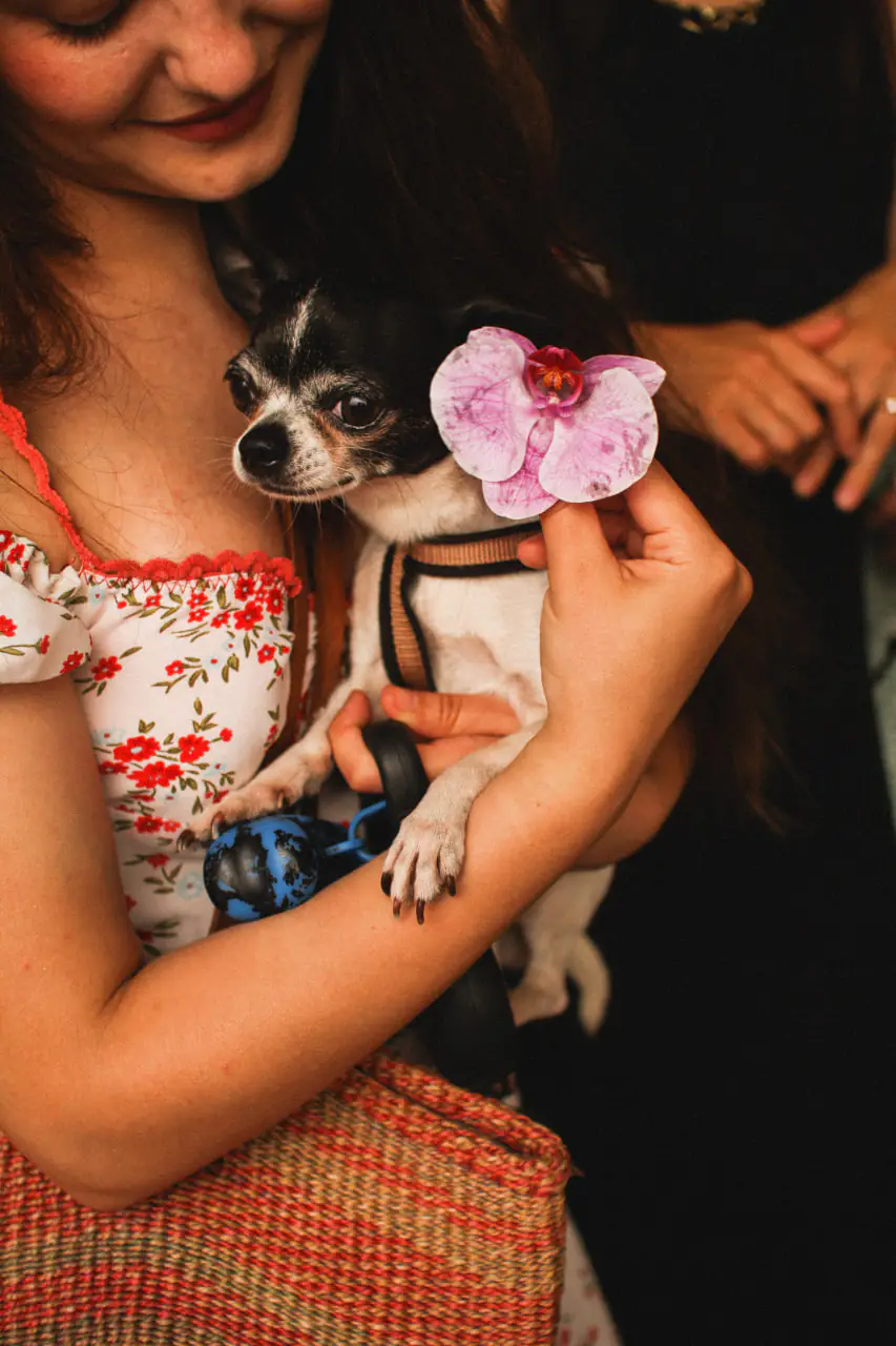 photo 3 2025 01 17 13 40 21