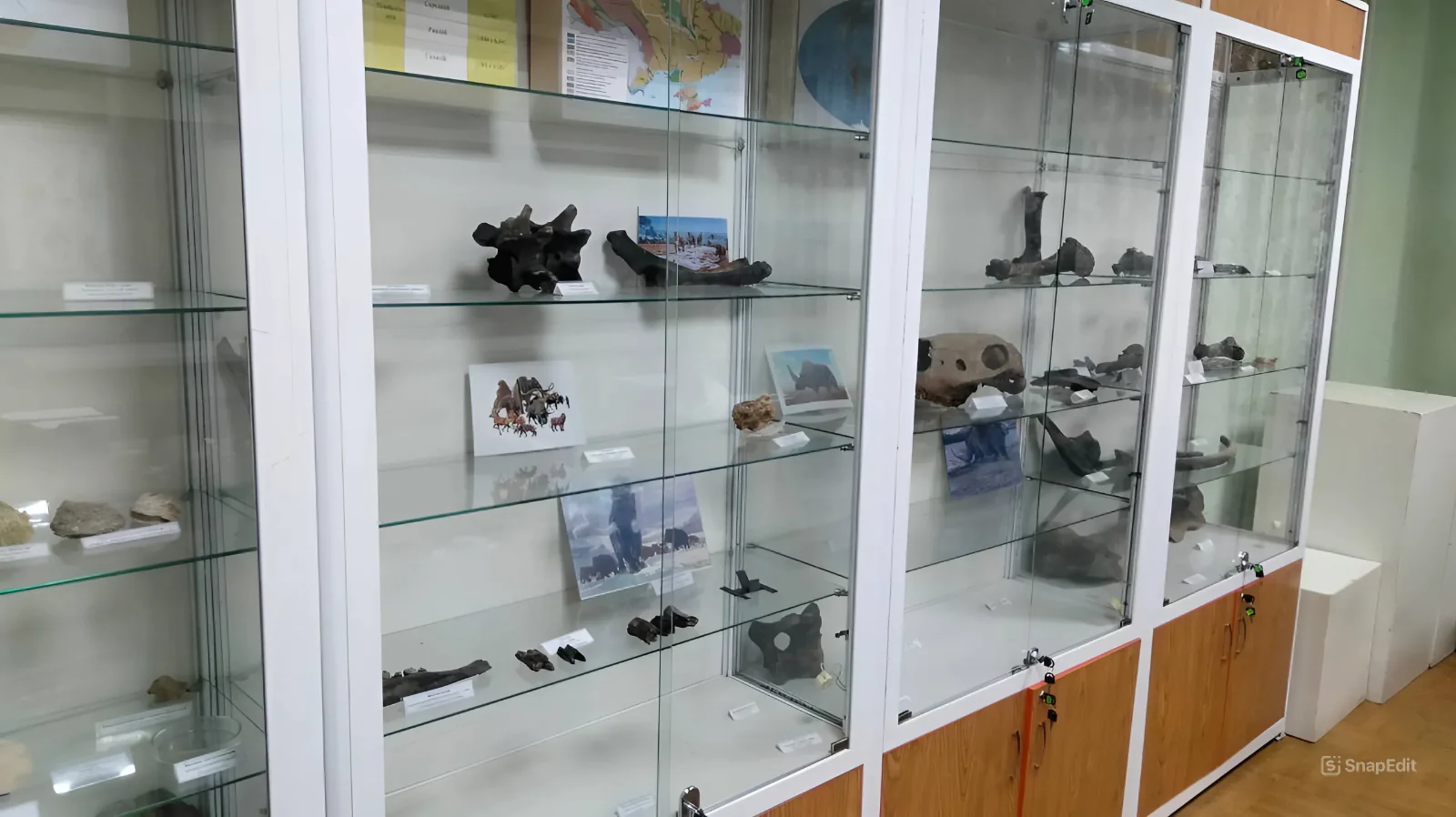 snapedit 1738322543077