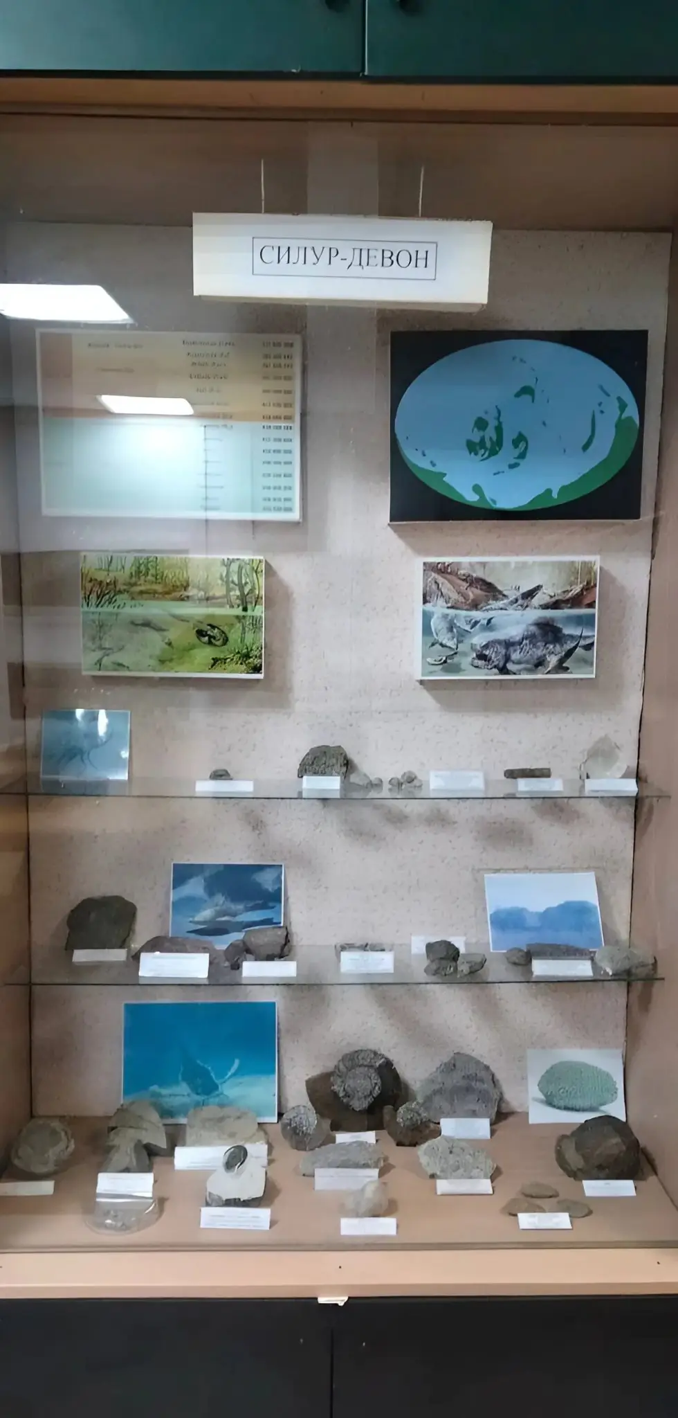 snapedit 1738322866948