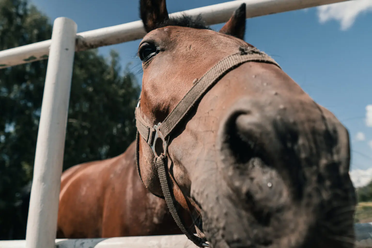 dsc02107 1536x1024 dsc02107 1536x1024