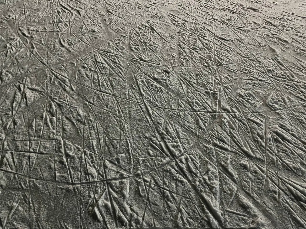 photo 1 2025 02 18 15 45 55 photo 1 2025 02 18 15 45 55