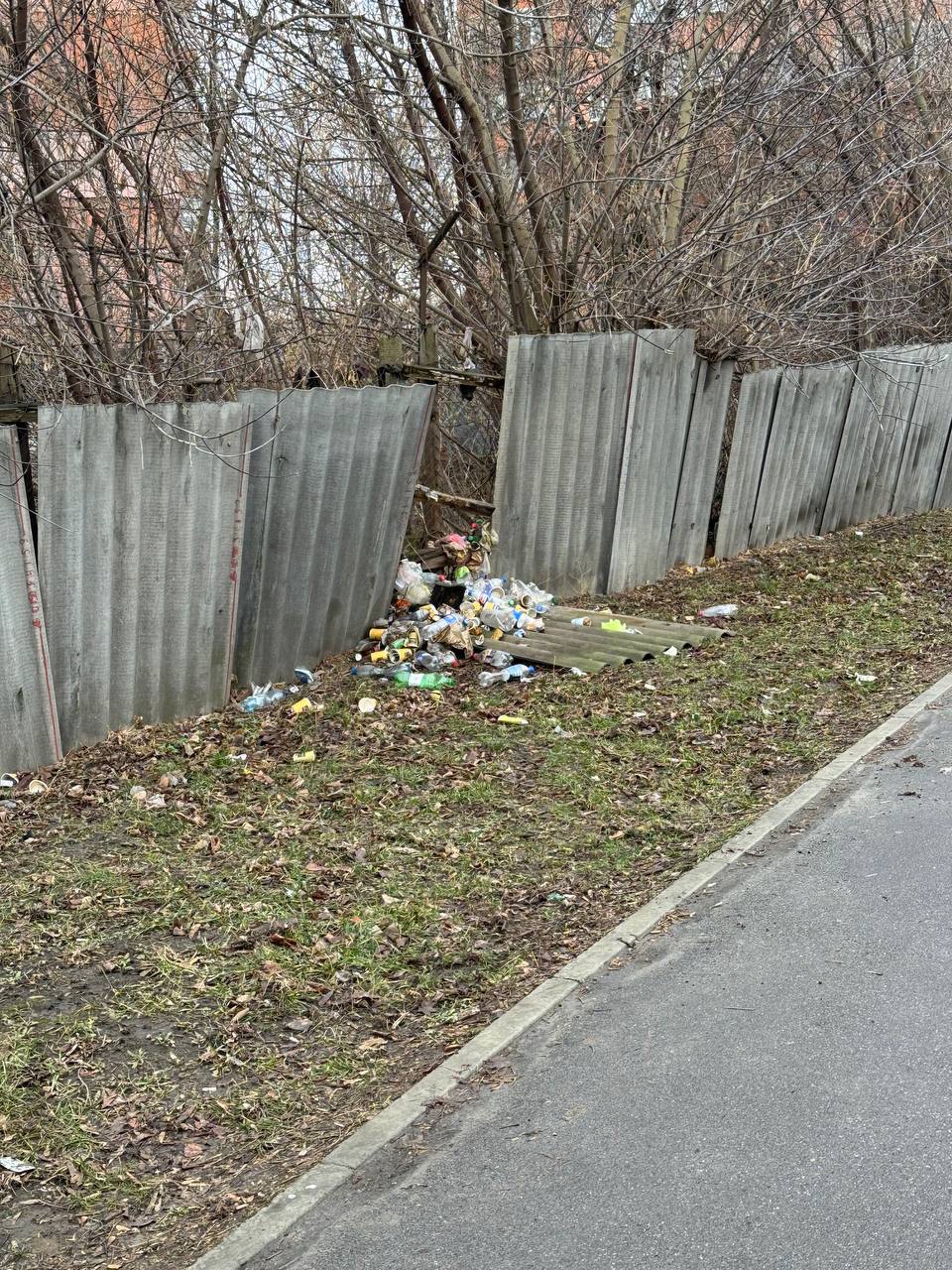 смітник свободи