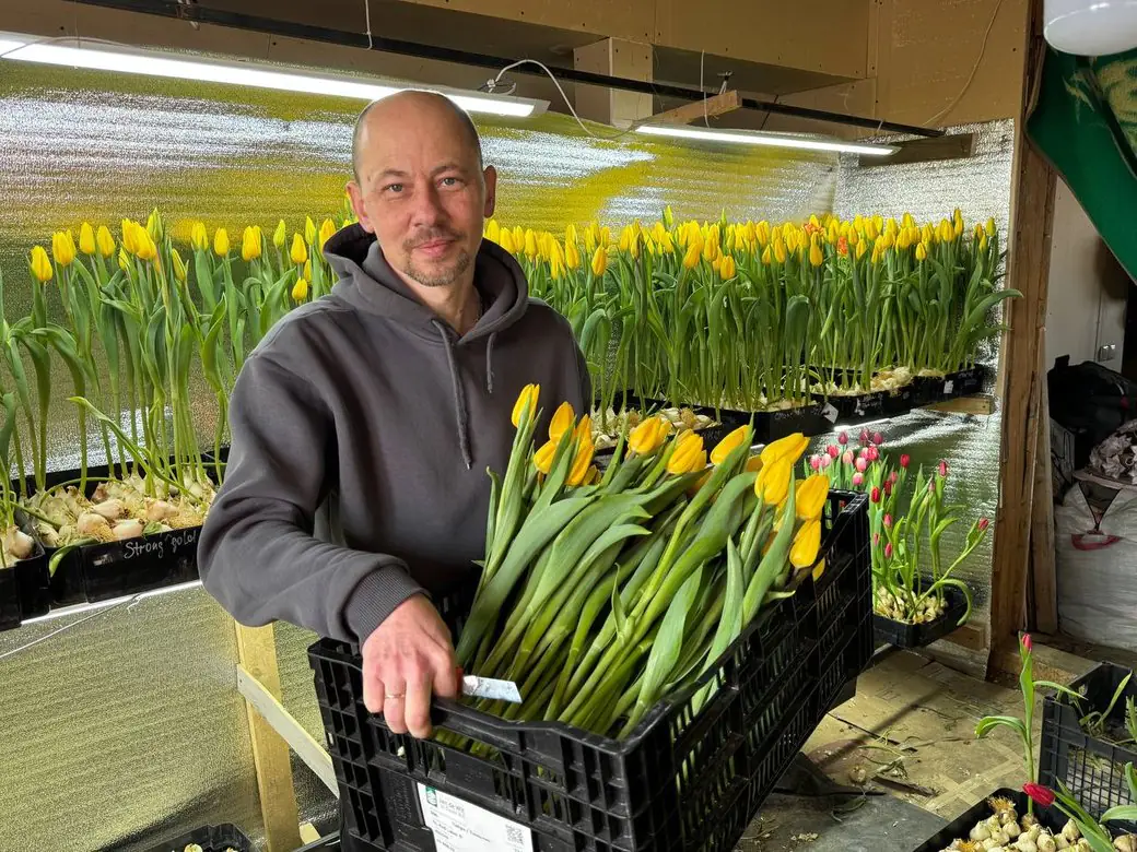 2c60ec009d317eba 2c60ec009d317eba