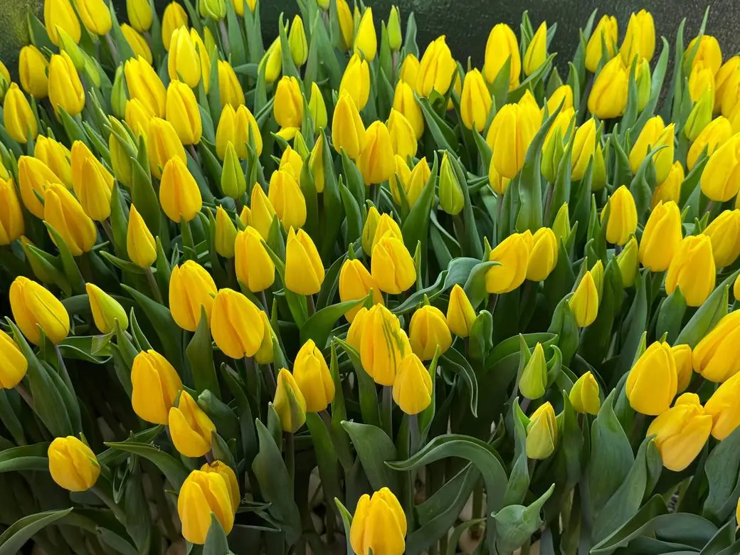 375f948fce3ed99b 375f948fce3ed99b