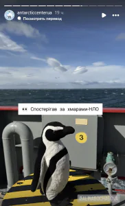 Знімок екрана 2025 03 13 152710