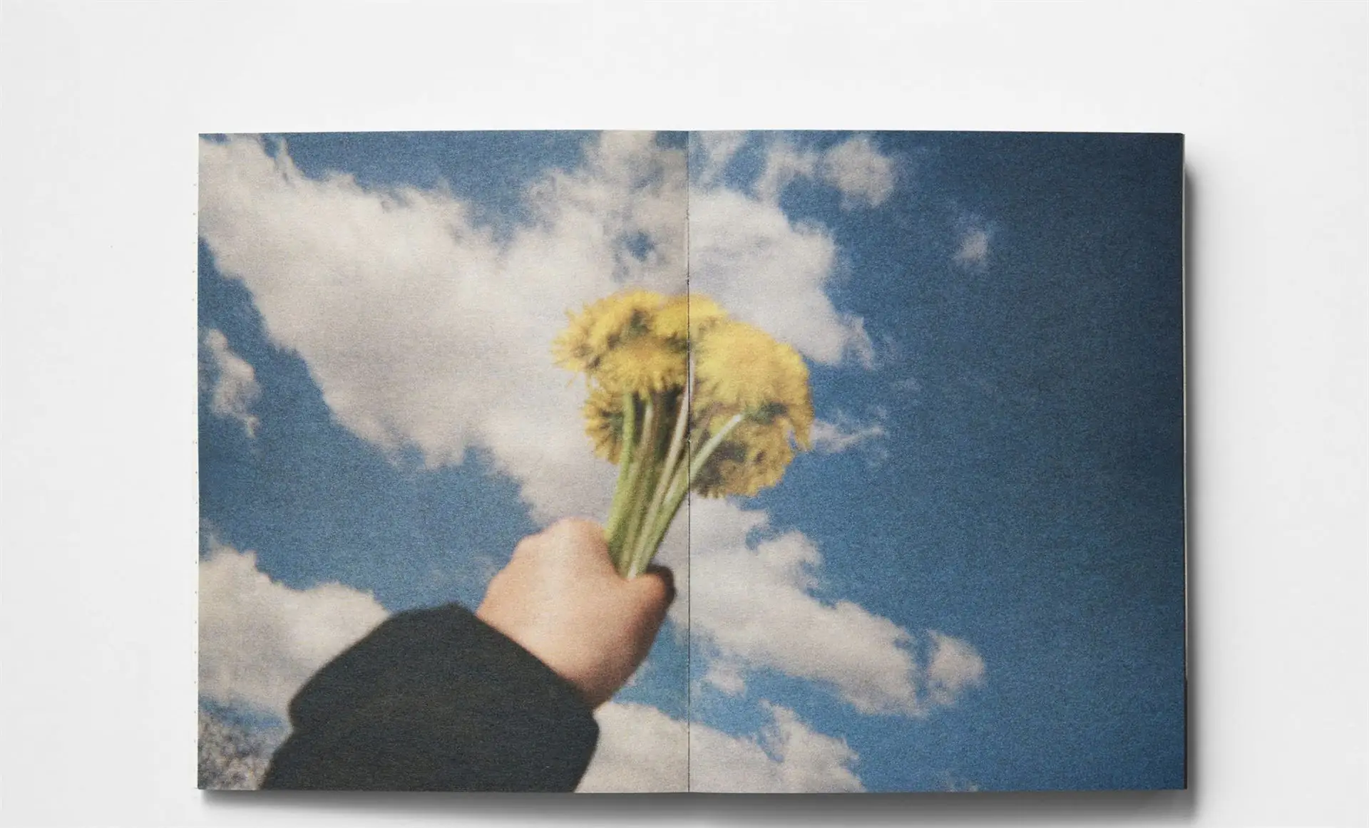 Znimok ekrana 2025 03 25 154207 Znimok ekrana 2025 03 25 154207