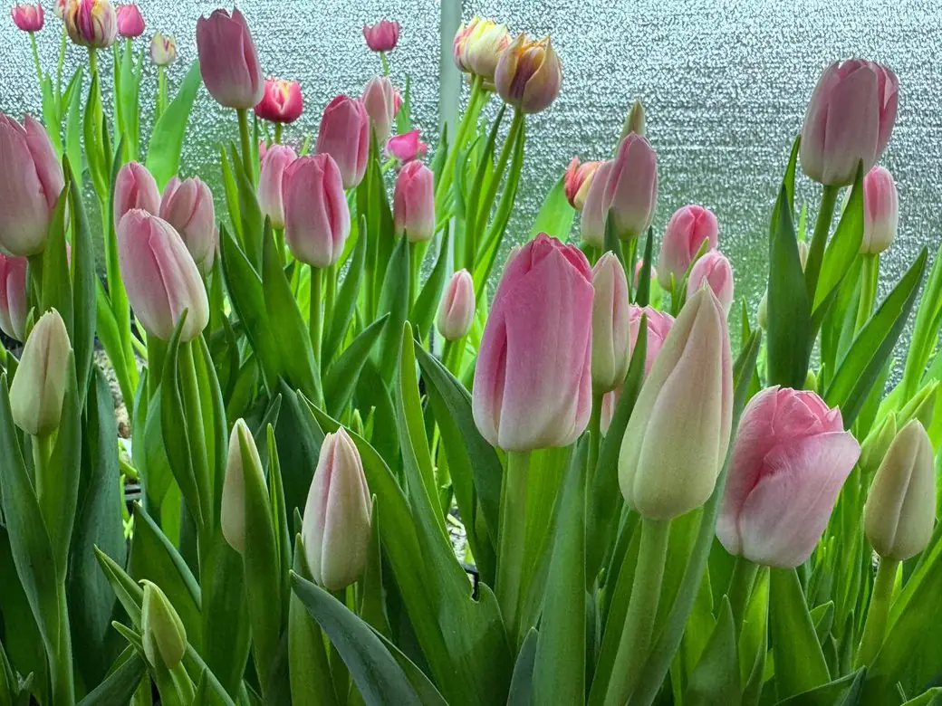 eae4941a0cdd5038 eae4941a0cdd5038