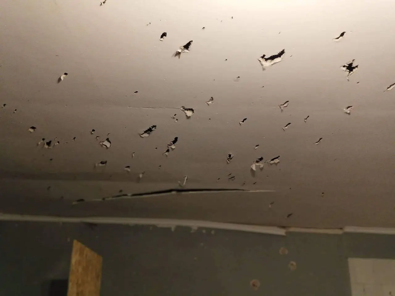 photo 2 2025 03 28 16 41 05 photo 2 2025 03 28 16 41 05