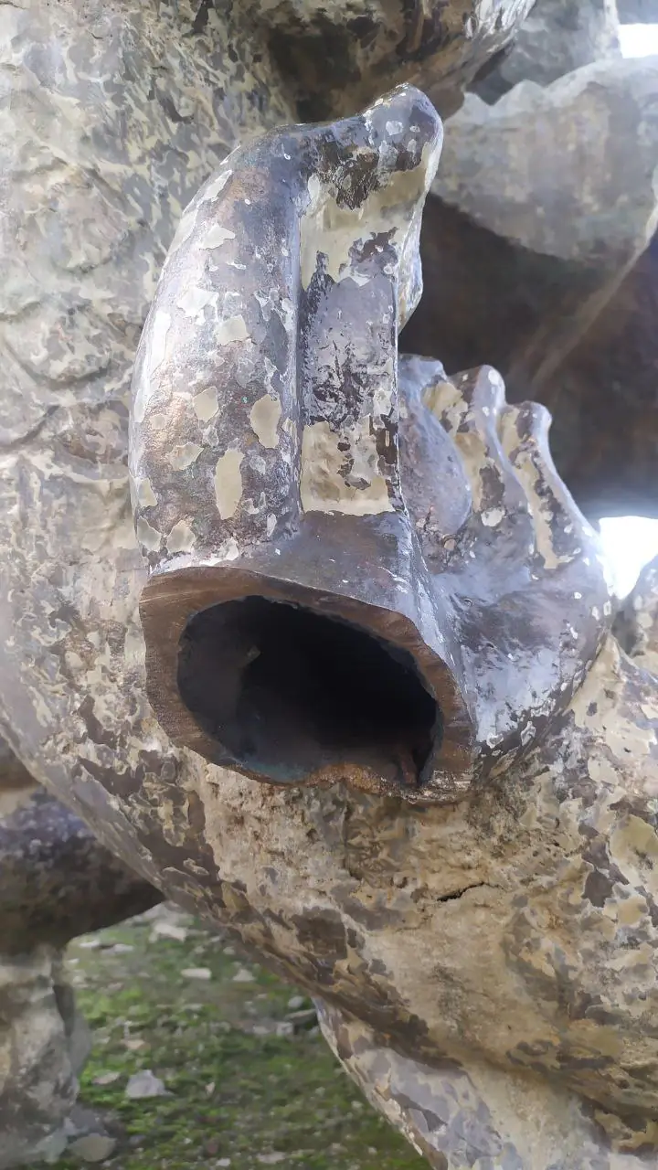 photo 2024 06 18 19 16 48 2