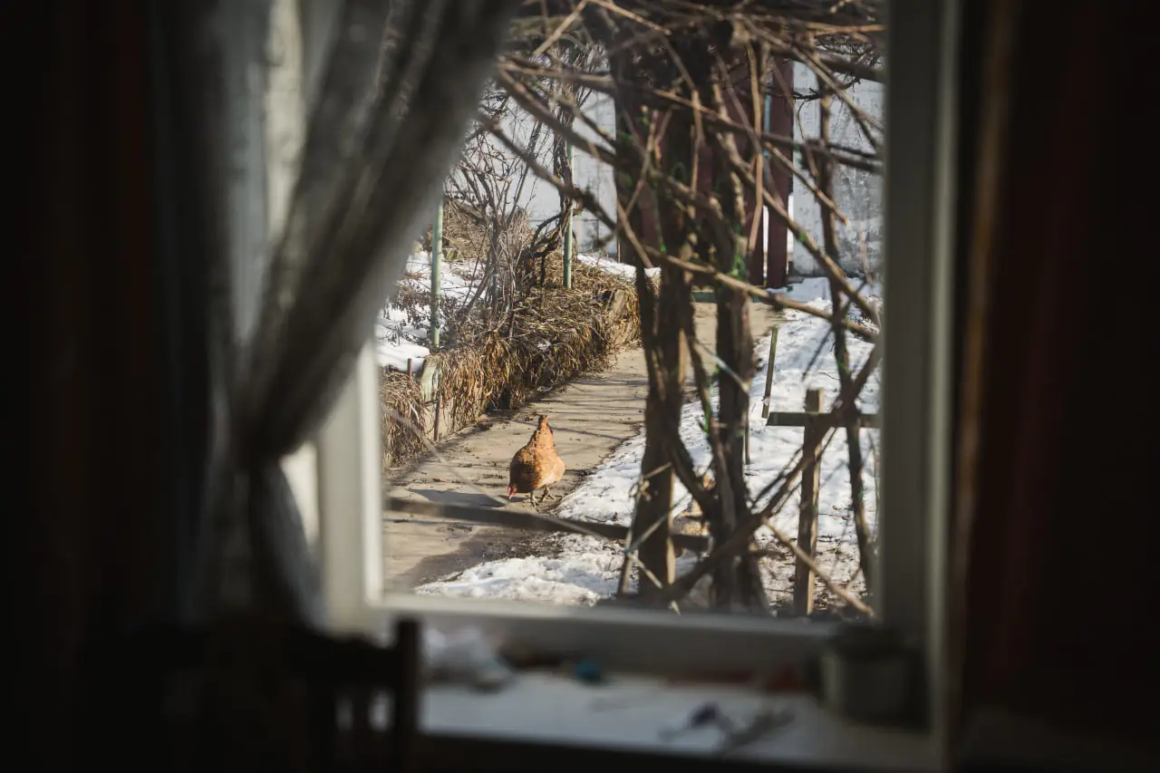 photo 2025 03 11 16 13 08 3 photo 2025 03 11 16 13 08 3