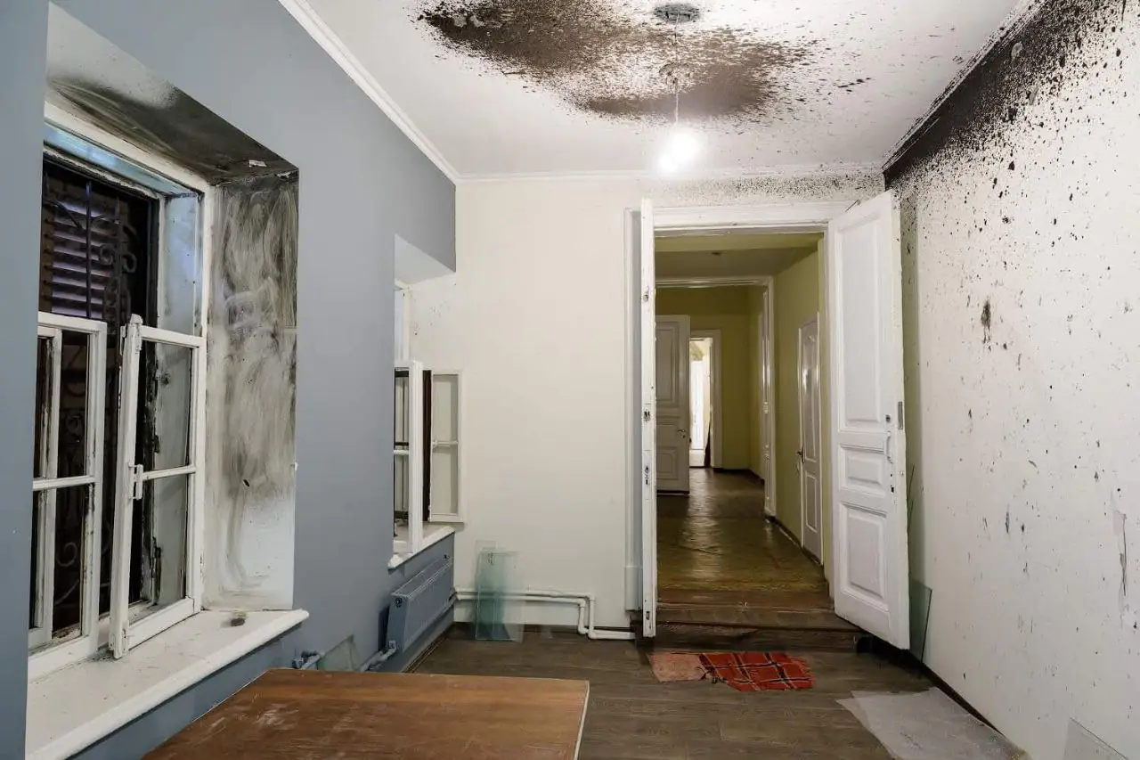 photo 6 2025 03 28 16 41 05 photo 6 2025 03 28 16 41 05