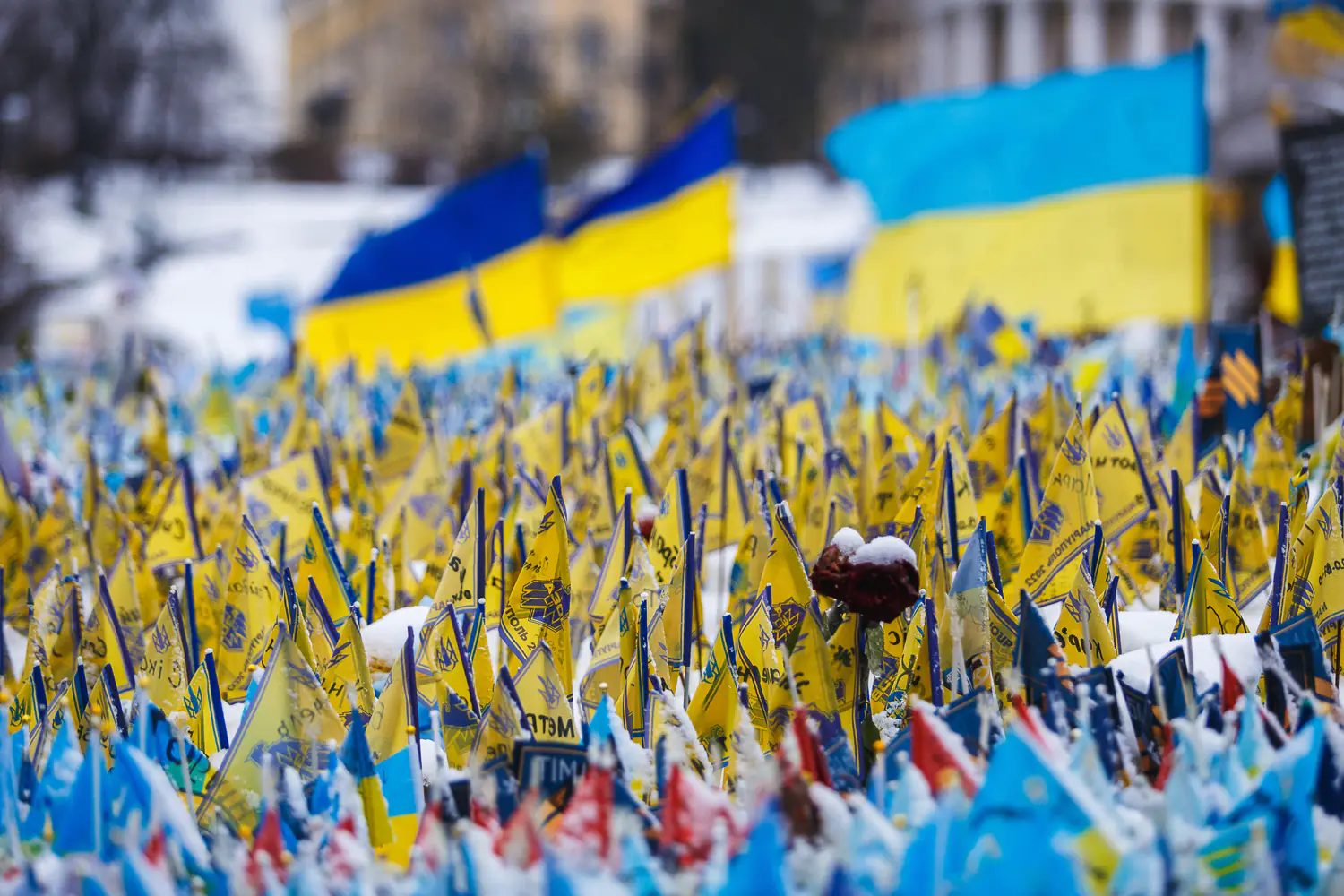 11 foto YUriy Stefaniak