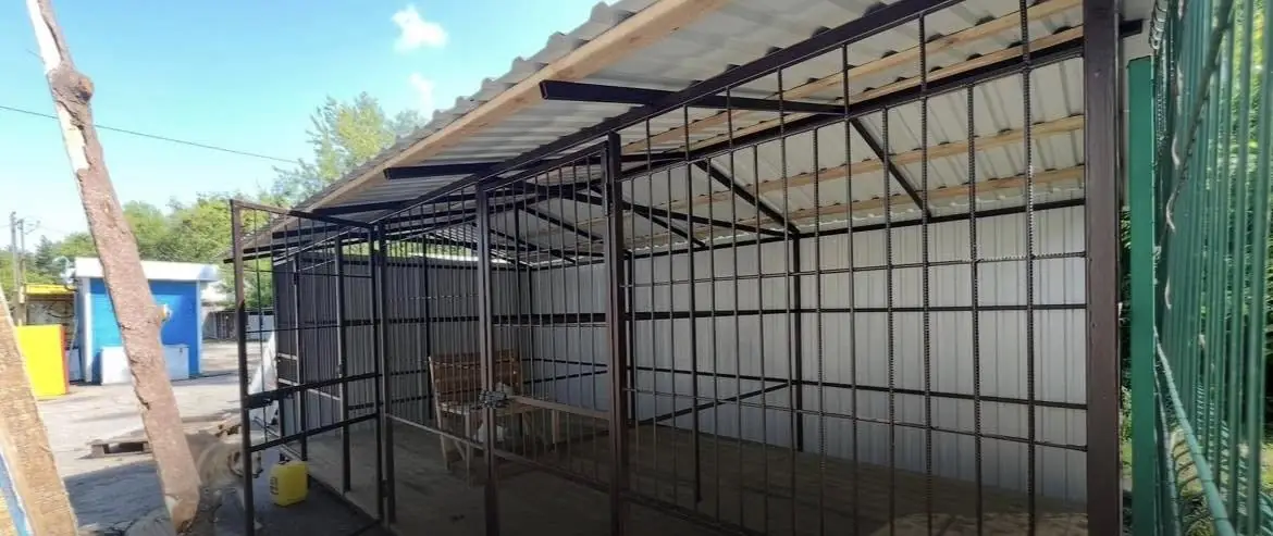 488931198 1000347638876416 1442878713913142340 n 488931198 1000347638876416 1442878713913142340 n