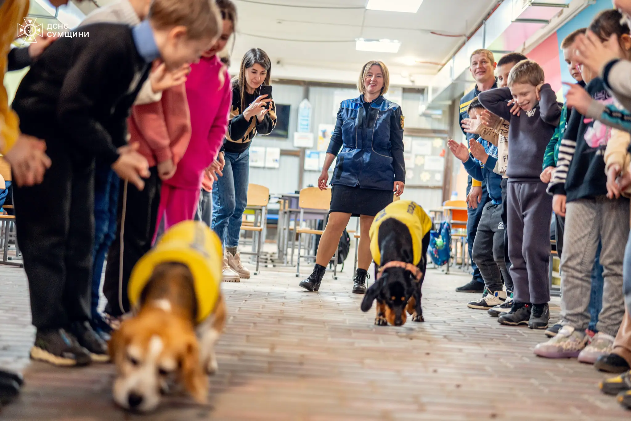 489054973 1059177169577967 661268677837410752 n 489054973 1059177169577967 661268677837410752 n