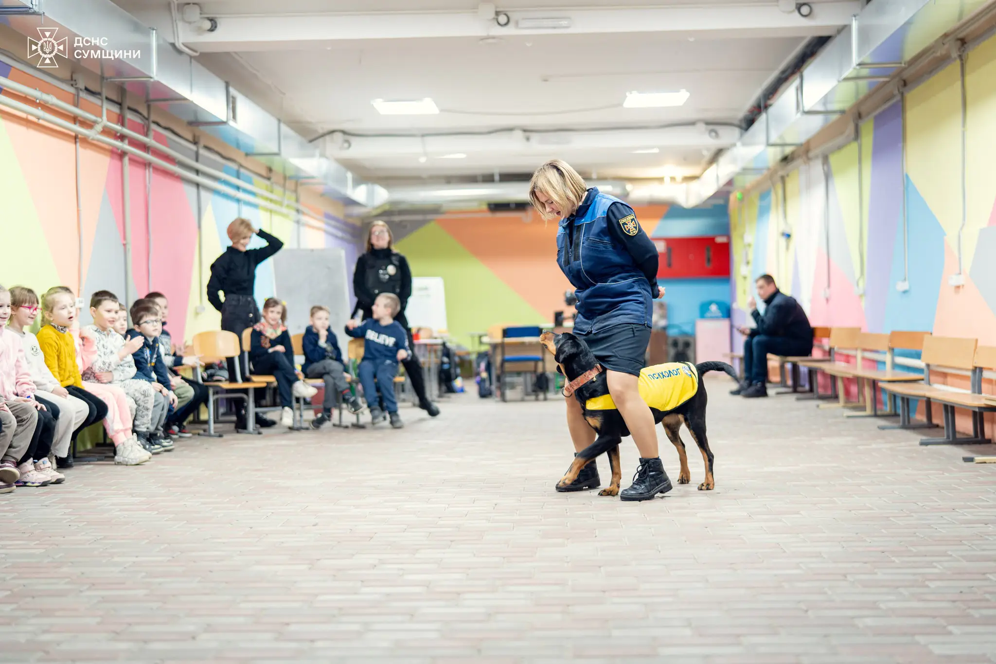 490496098 1059177446244606 3230113376882201341 n 490496098 1059177446244606 3230113376882201341 n