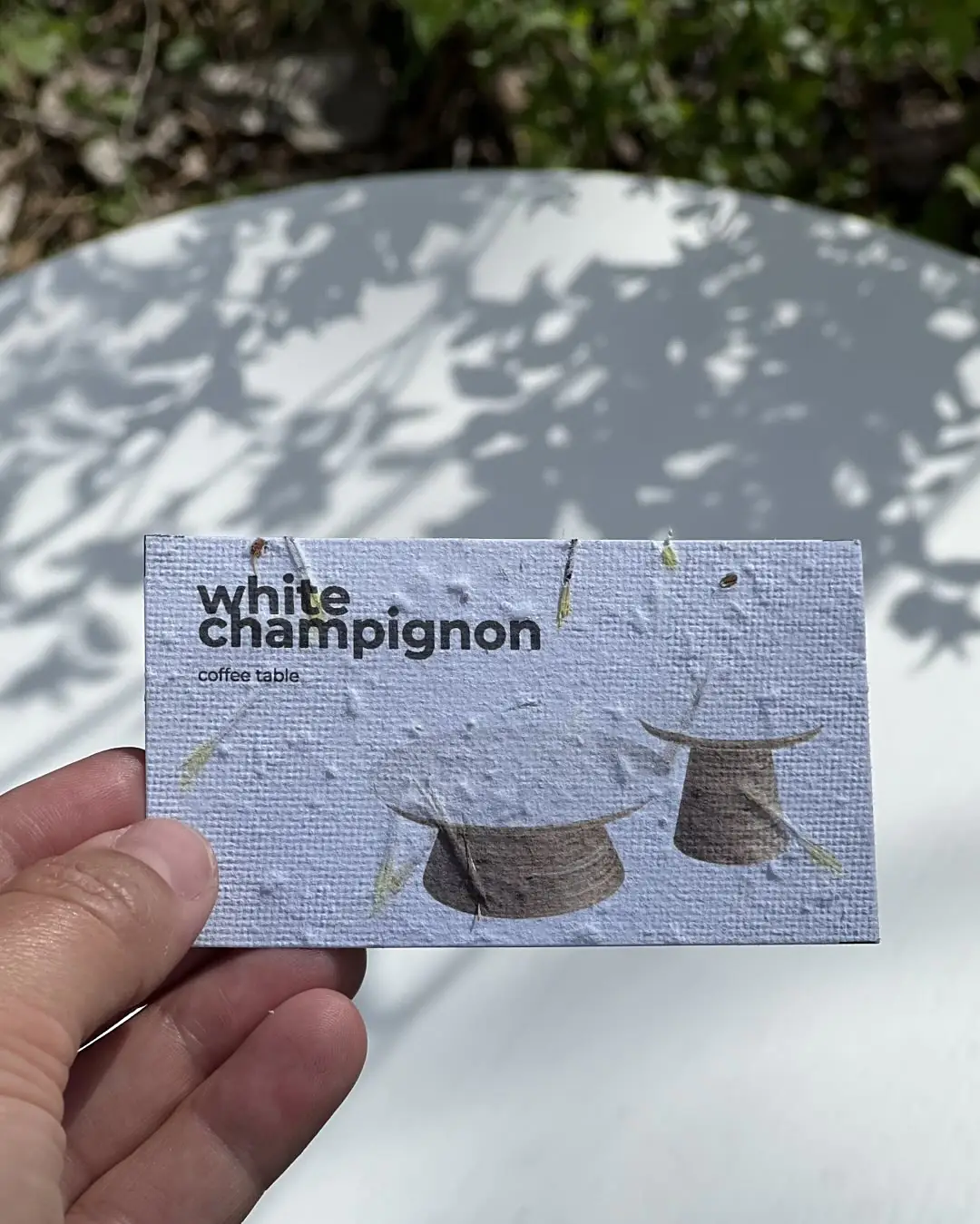 490771203 18068068417945814 219823303237278147 n 490771203 18068068417945814 219823303237278147 n