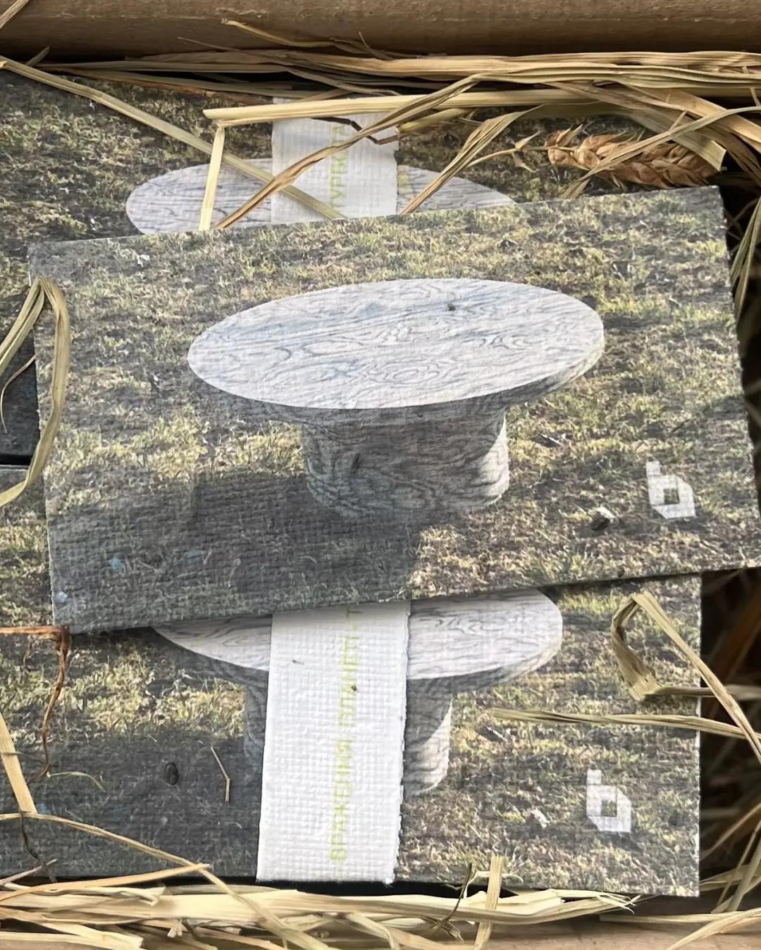 491439865 18068068438945814 4459013199420742912 n 491439865 18068068438945814 4459013199420742912 n