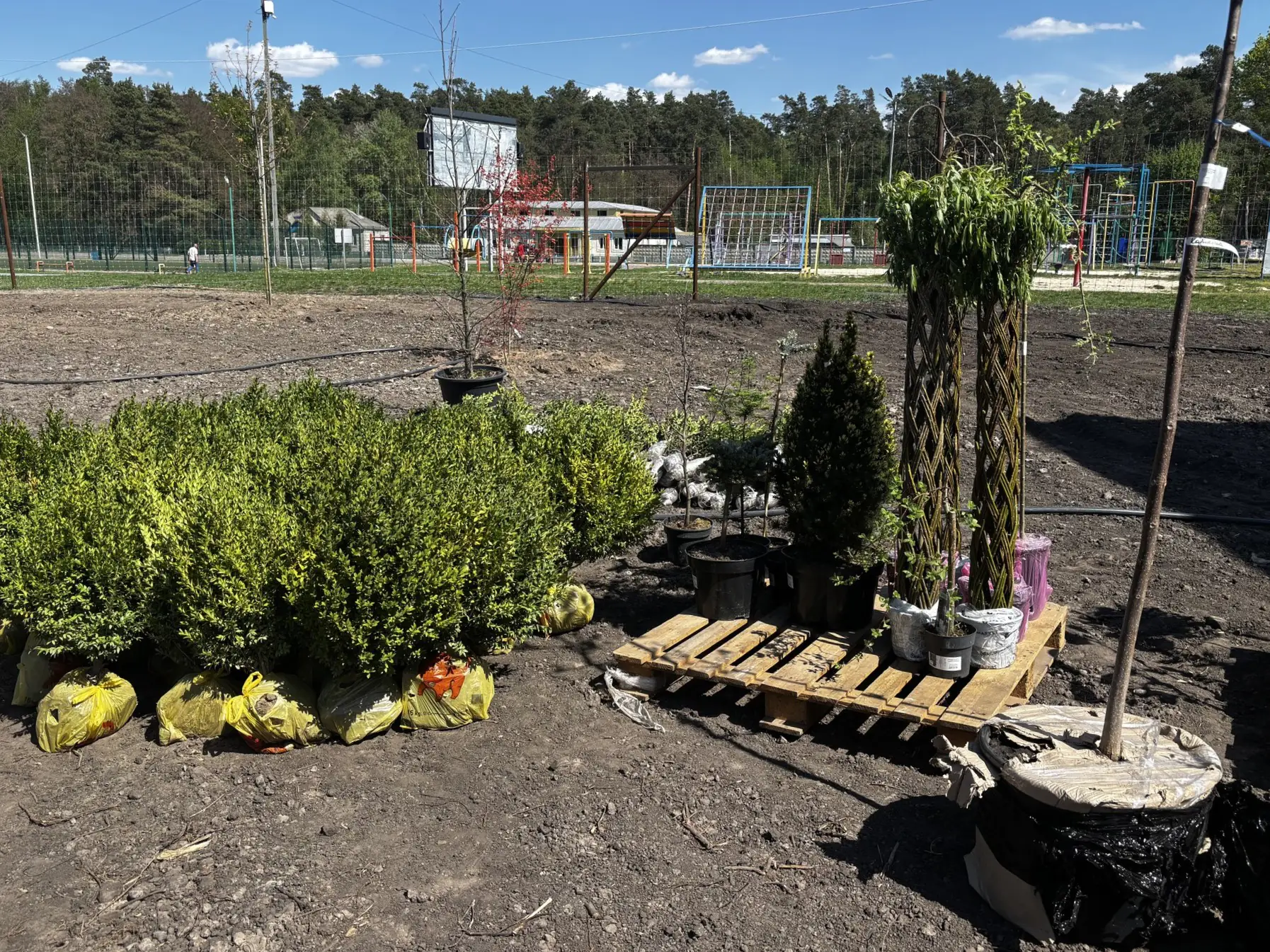 492371556 683470264067851 6895441540353316727 n