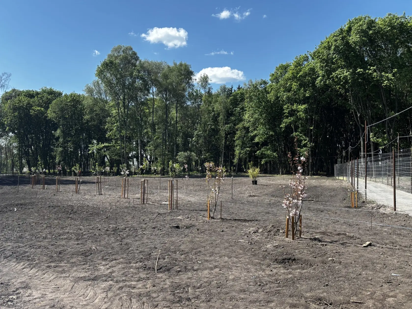 492533886 683470304067847 6410462606600823708 n