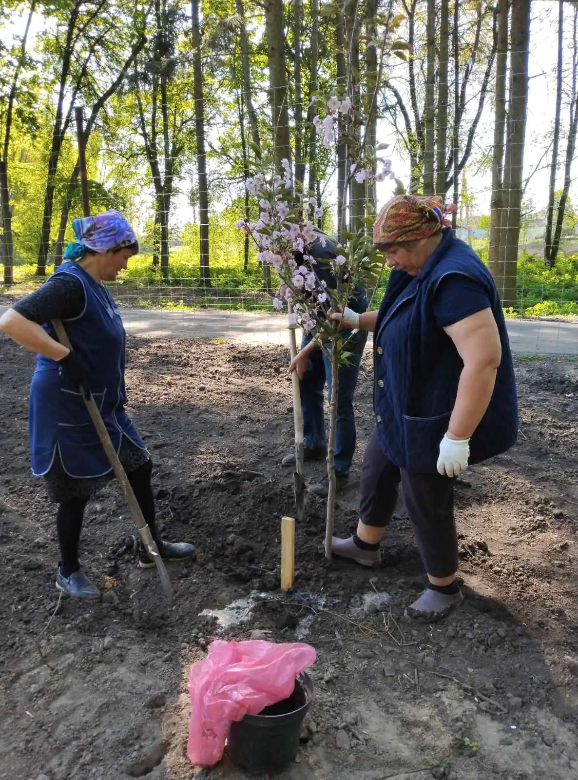 492742181 683469854067892 7523755524392304413 n