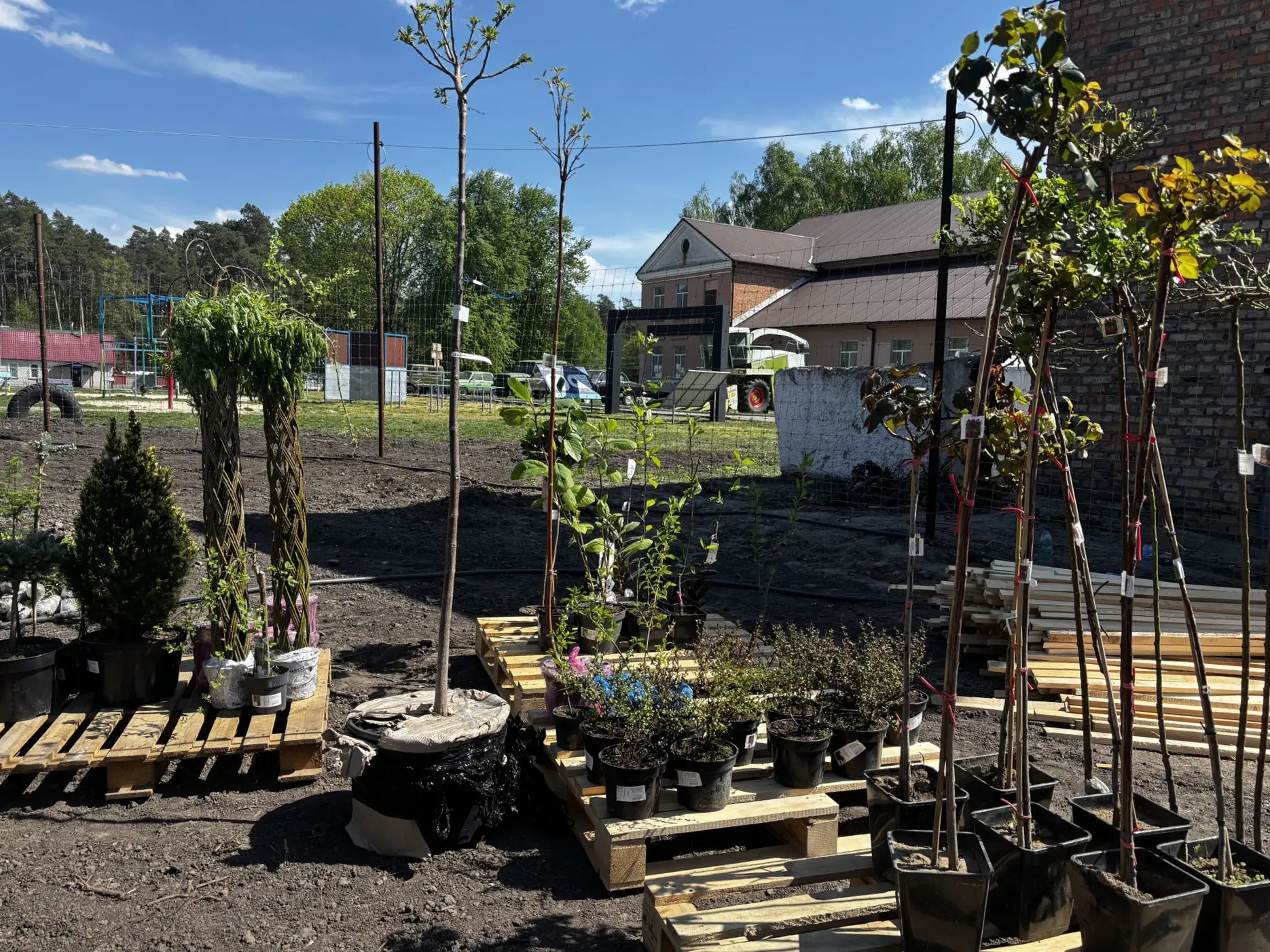 493314693 683470220734522 7760217622751581163 n