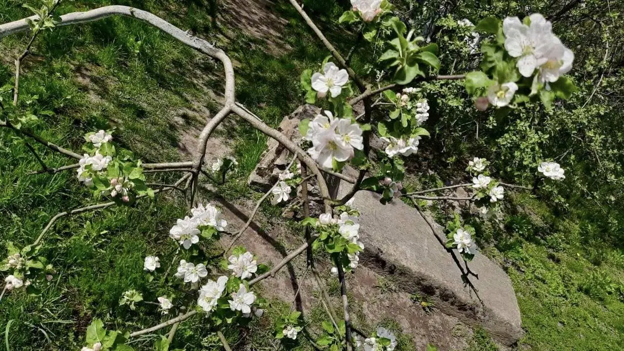 493324747 9747773898671769 5429034789599354254 n 493324747 9747773898671769 5429034789599354254 n