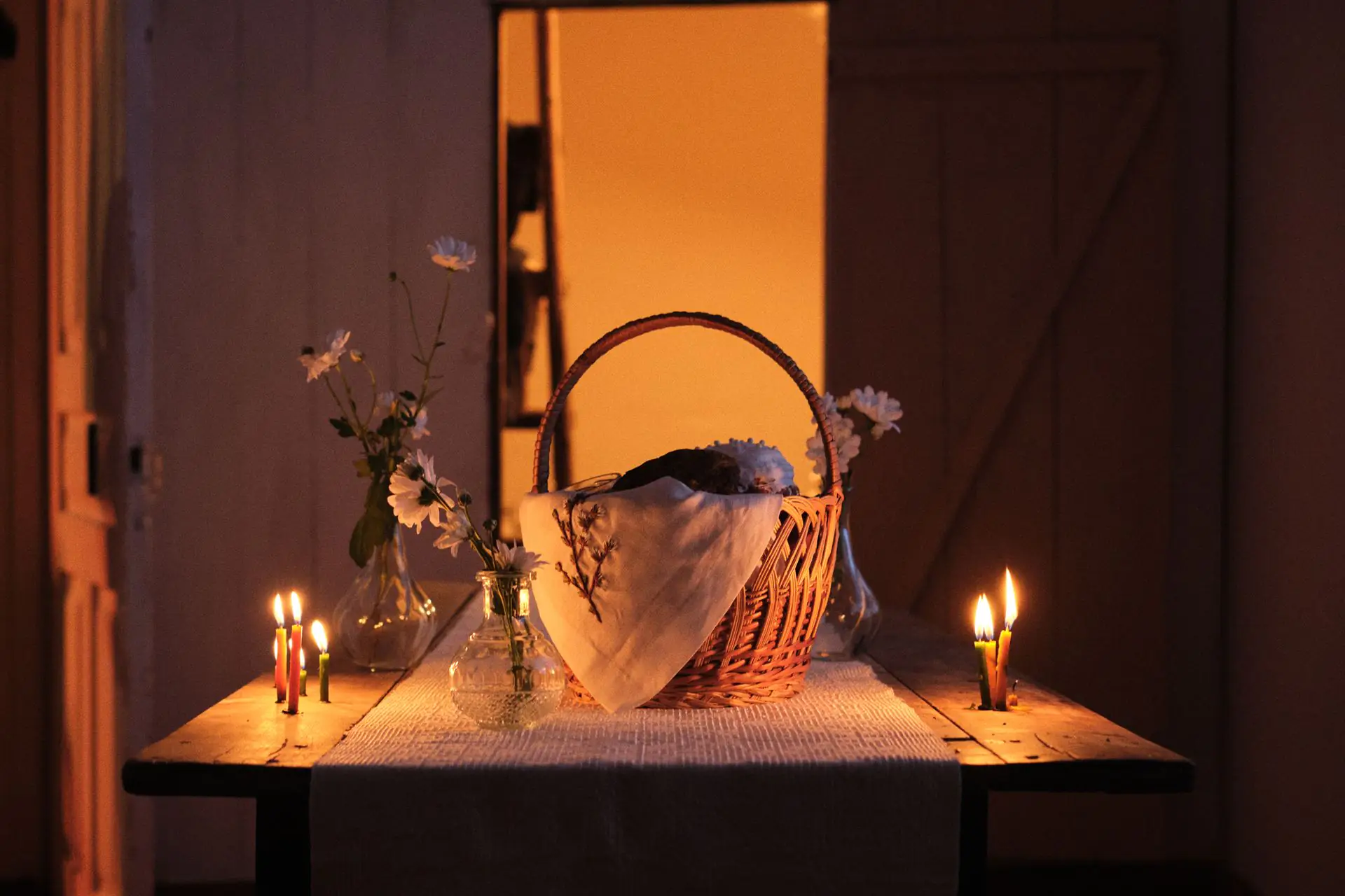 54440474093 c2f11926c6 o 54440474093 c2f11926c6 o