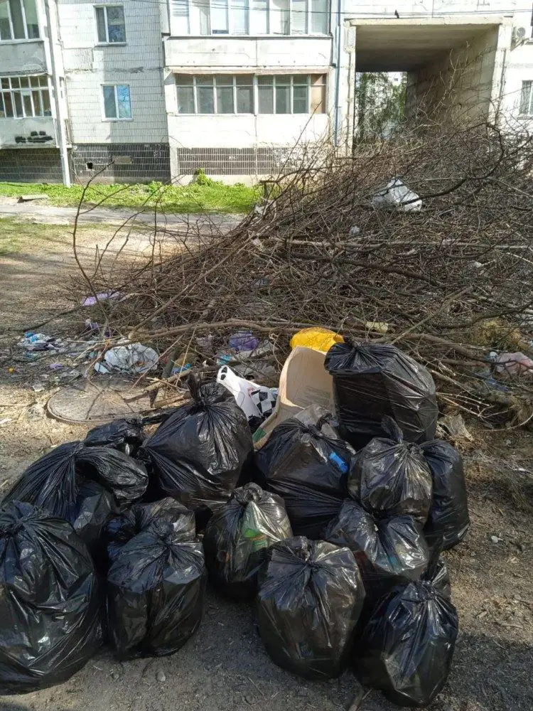 Толоки в 2024 році. Фото Сумська міська рада Толоки в 2024 році. Фото Сумська міська рада