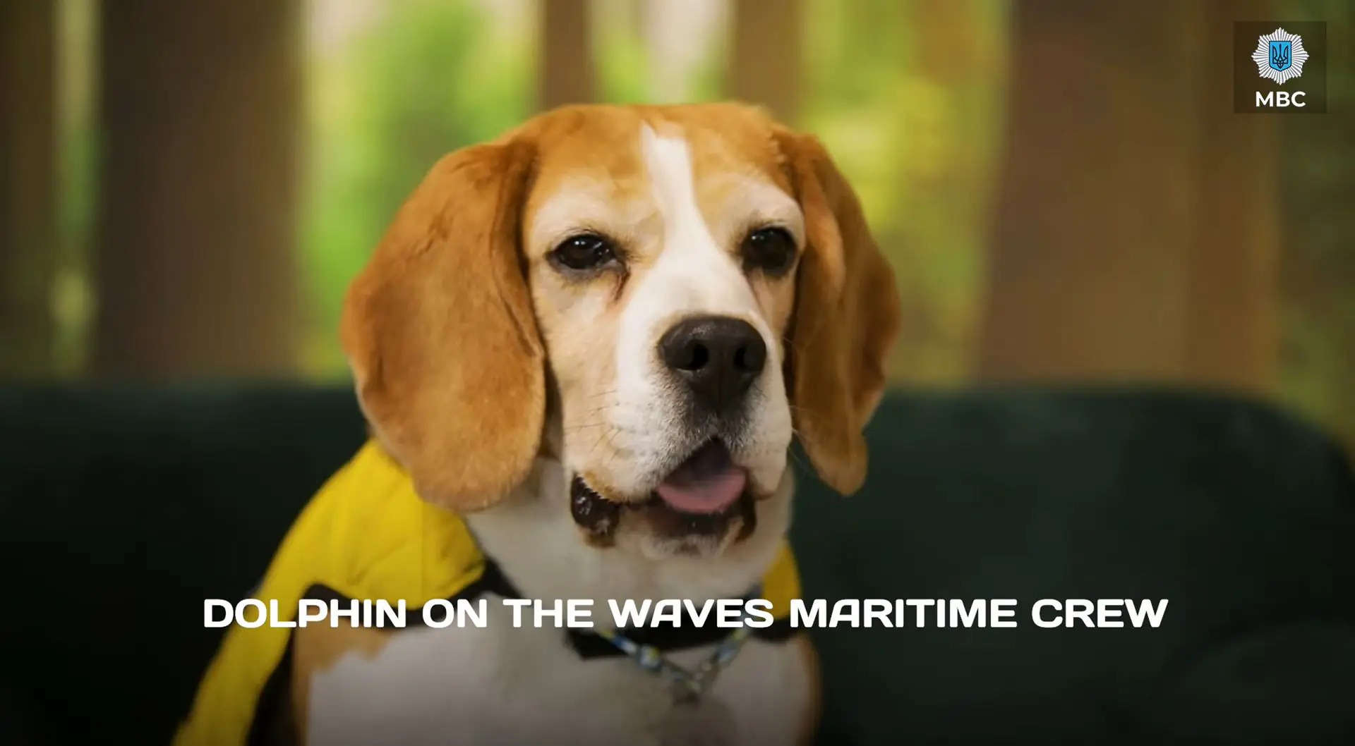 Znimok ekrana 186 Znimok ekrana 186