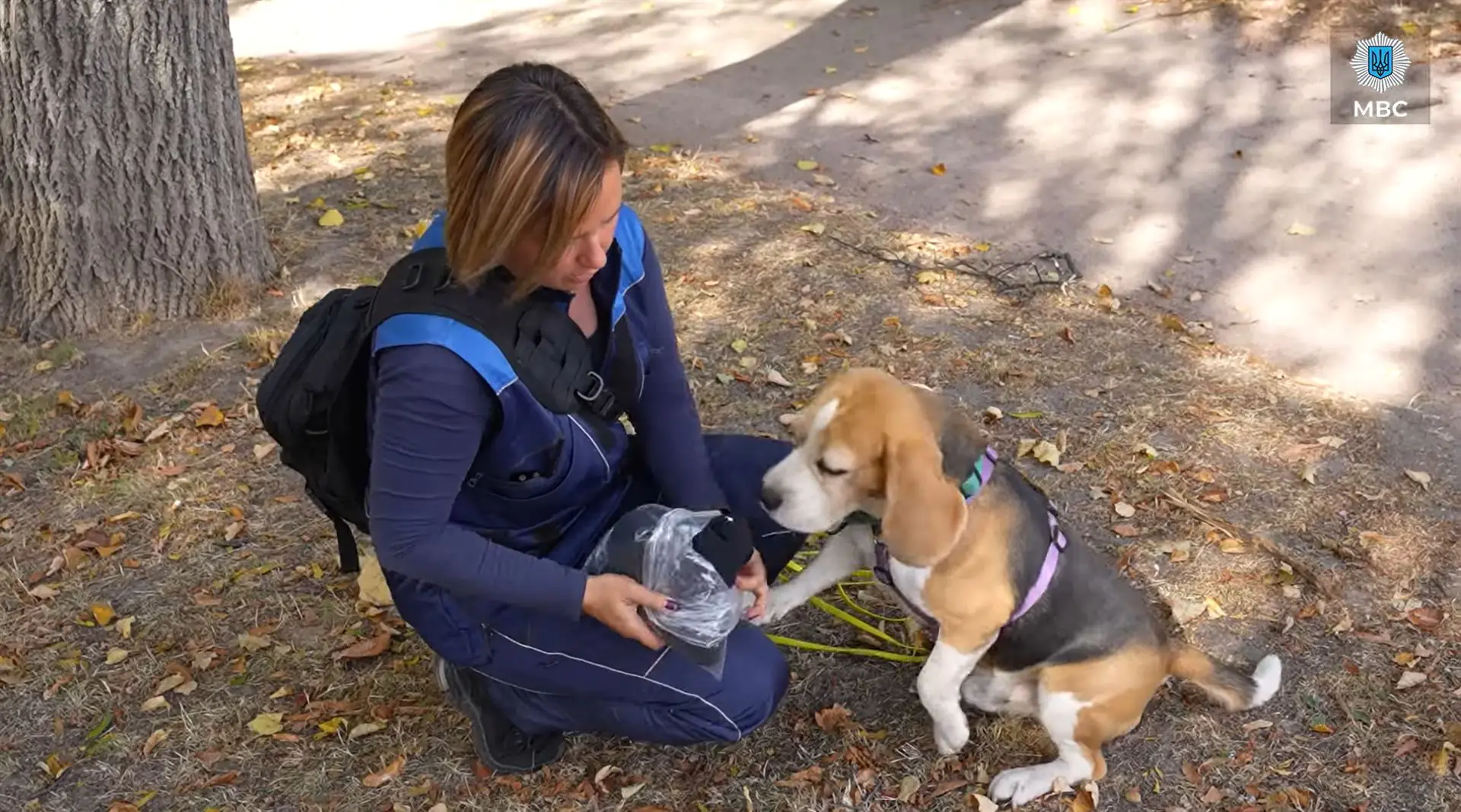 Znimok ekrana 198 Znimok ekrana 198