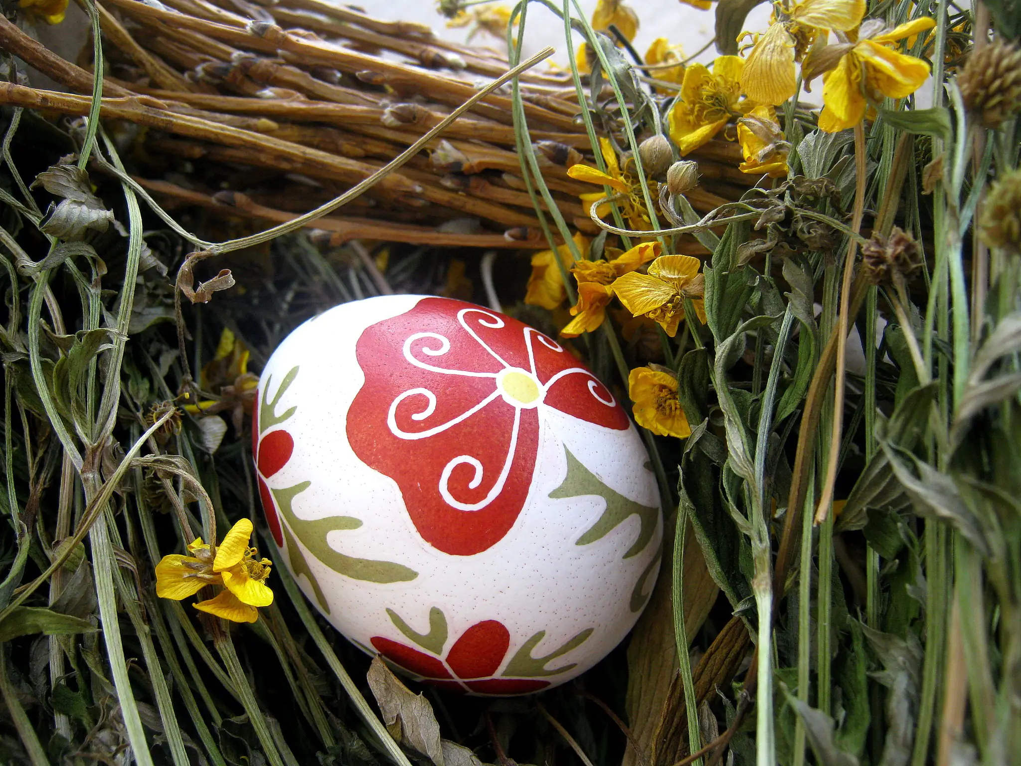 fb Iryny Mykhalevych 2 1 fb Iryny Mykhalevych 2 1